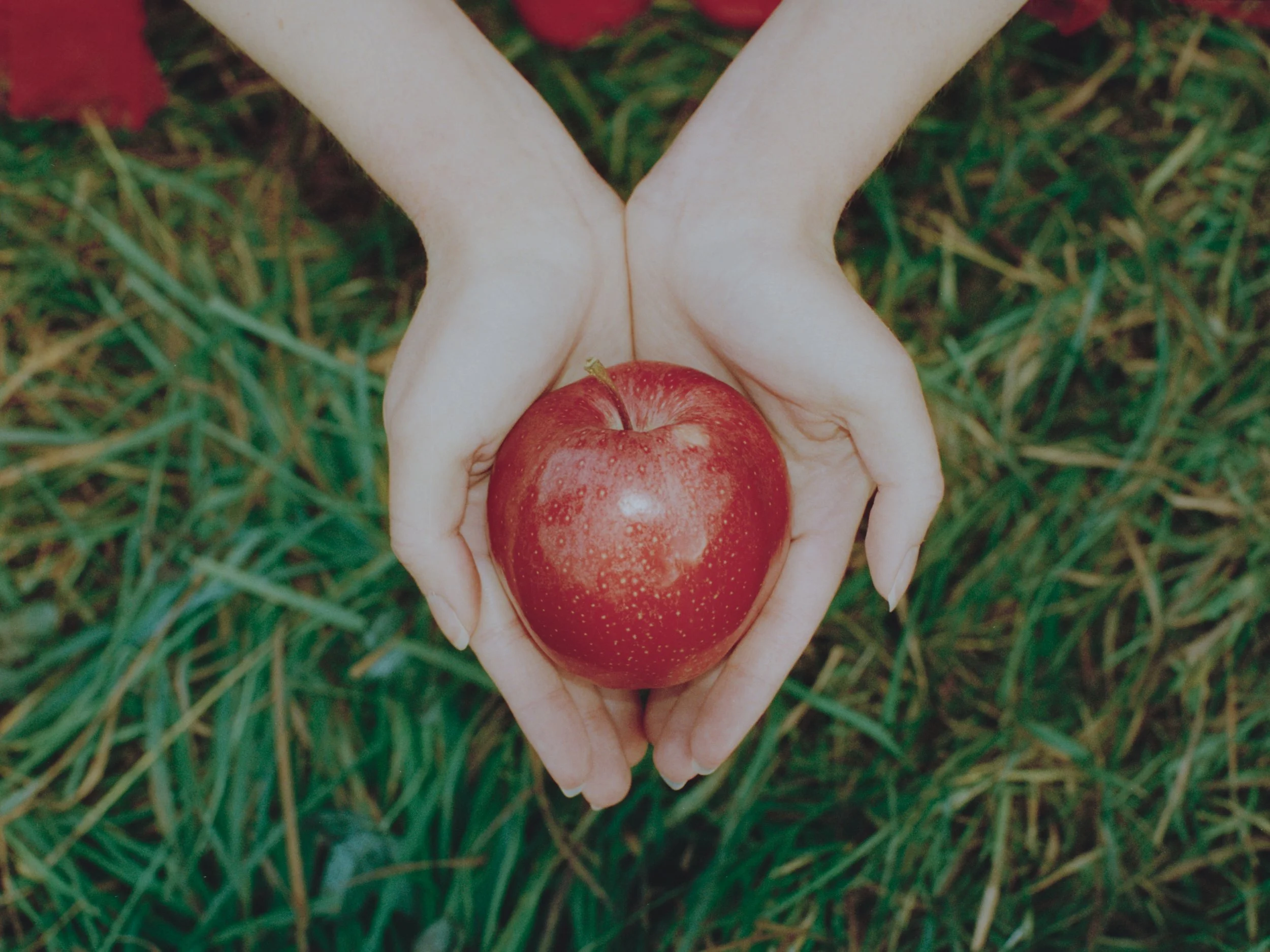 270925red_apple_film_031.jpg
