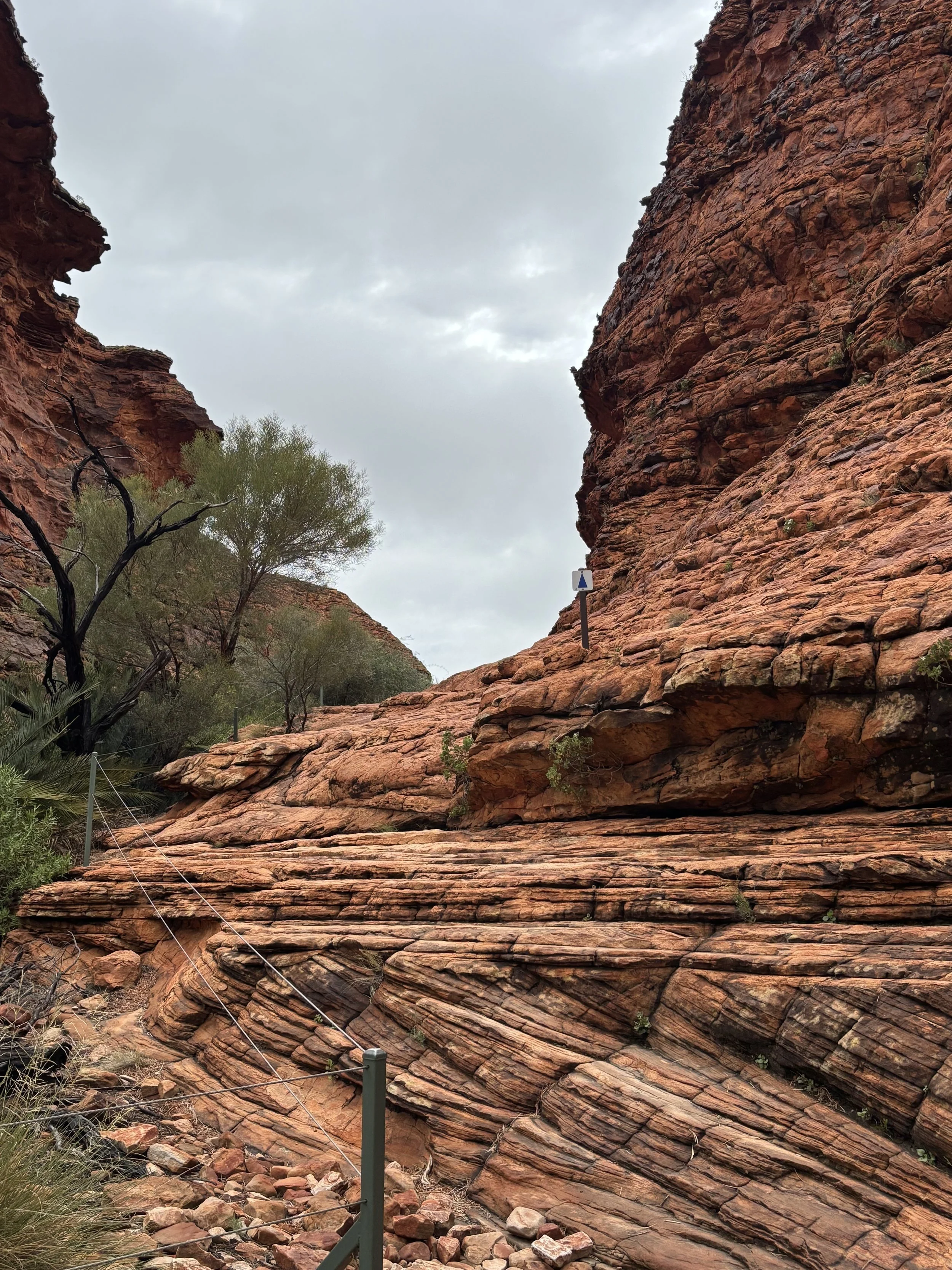 Kings Canyon Rim Walk Australia