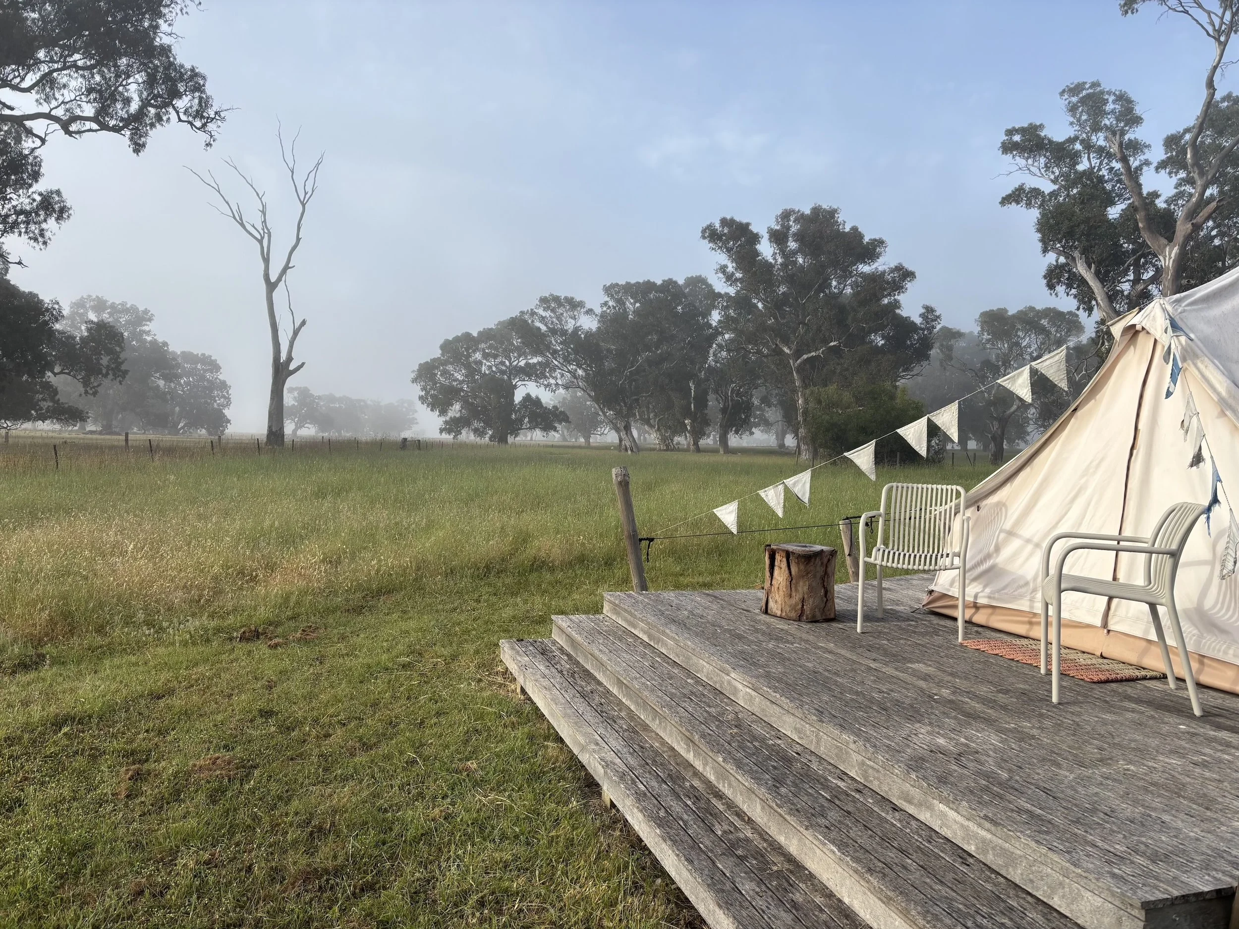 Bellwether, Coonawarra, South Australia