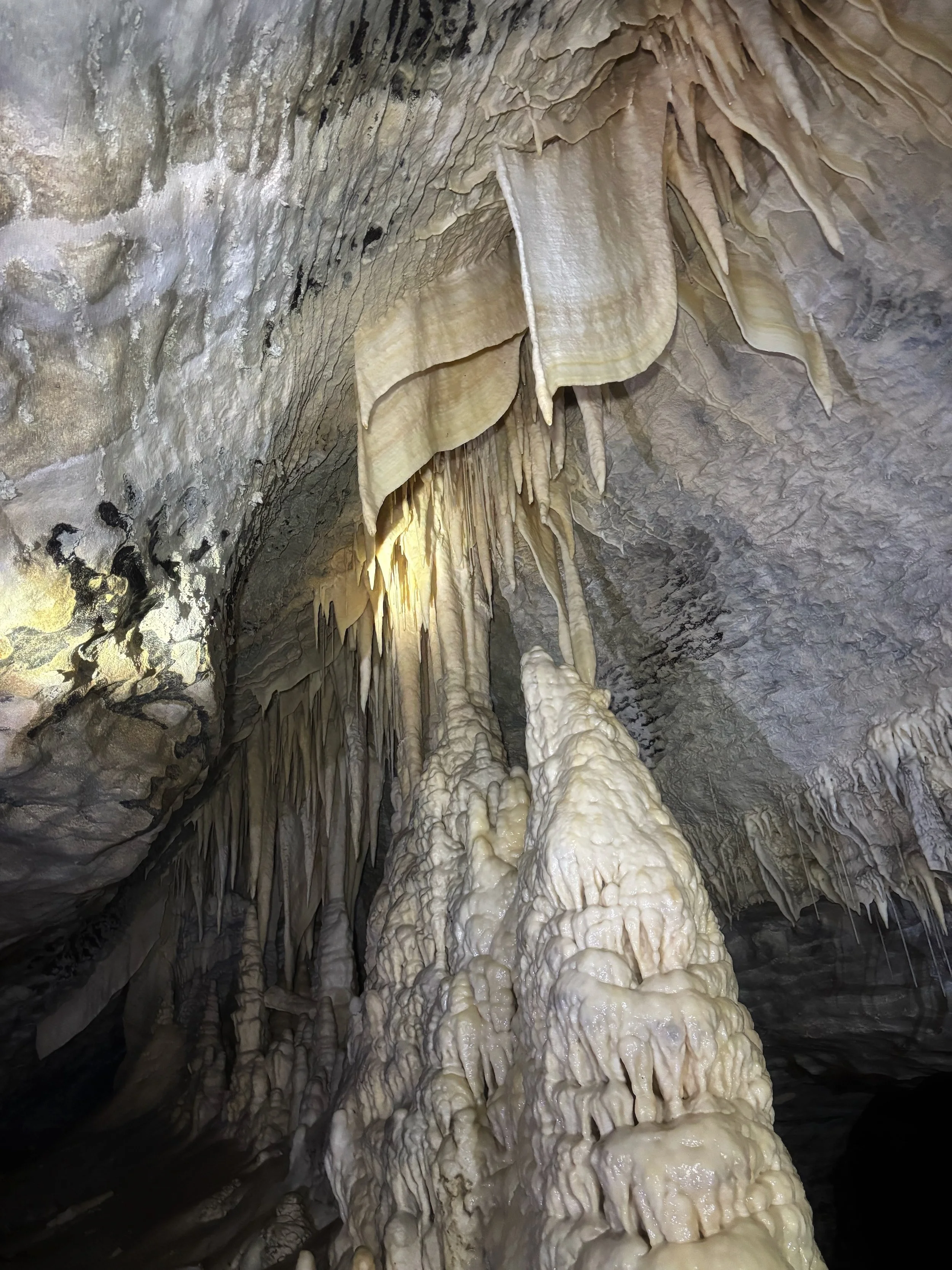 New Zealand South Island Charlest Cave Tour