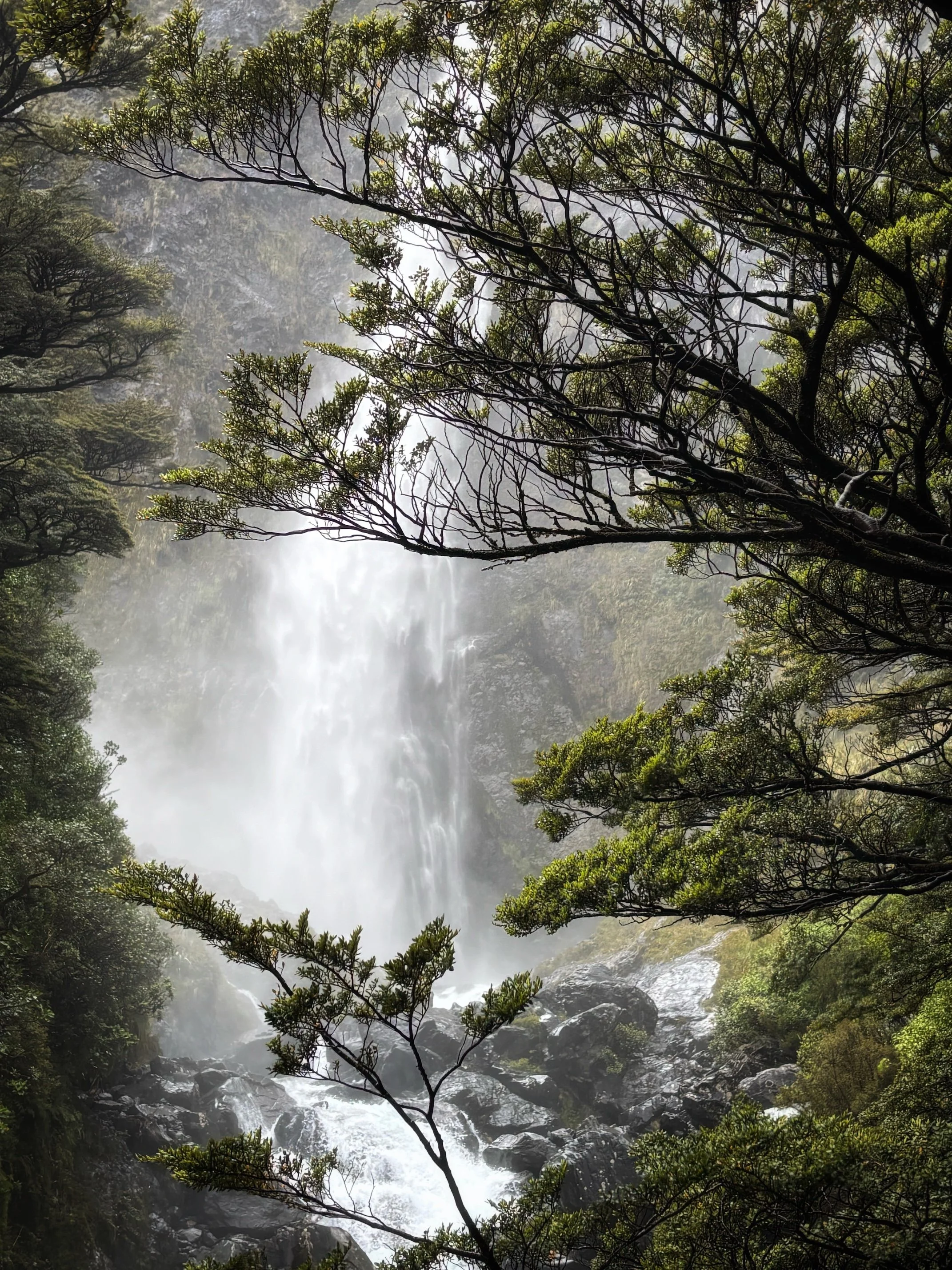 ARTHUR’S PASS &amp; LEWIS’ PASS