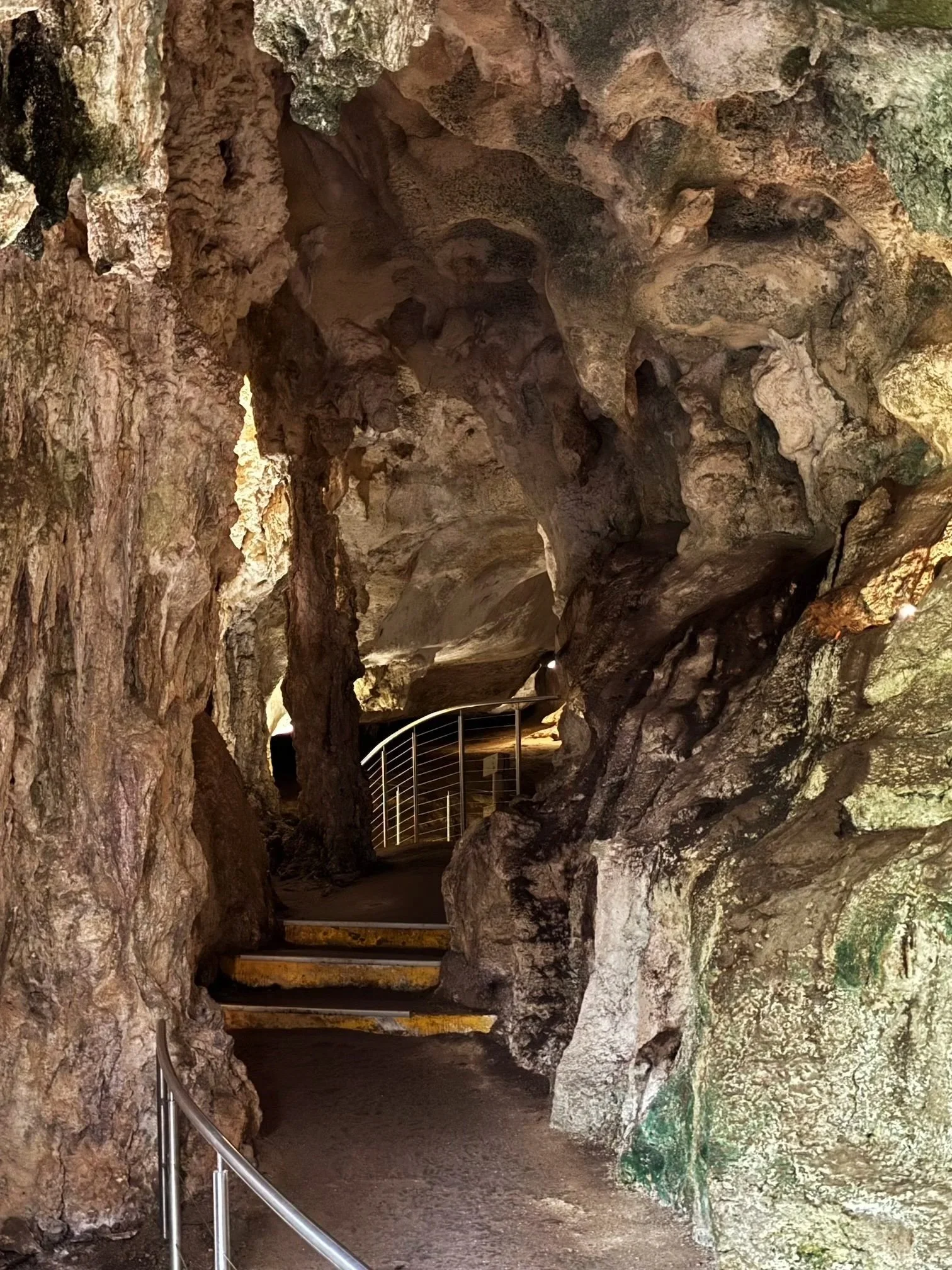 Naracoorte Caves South Australia