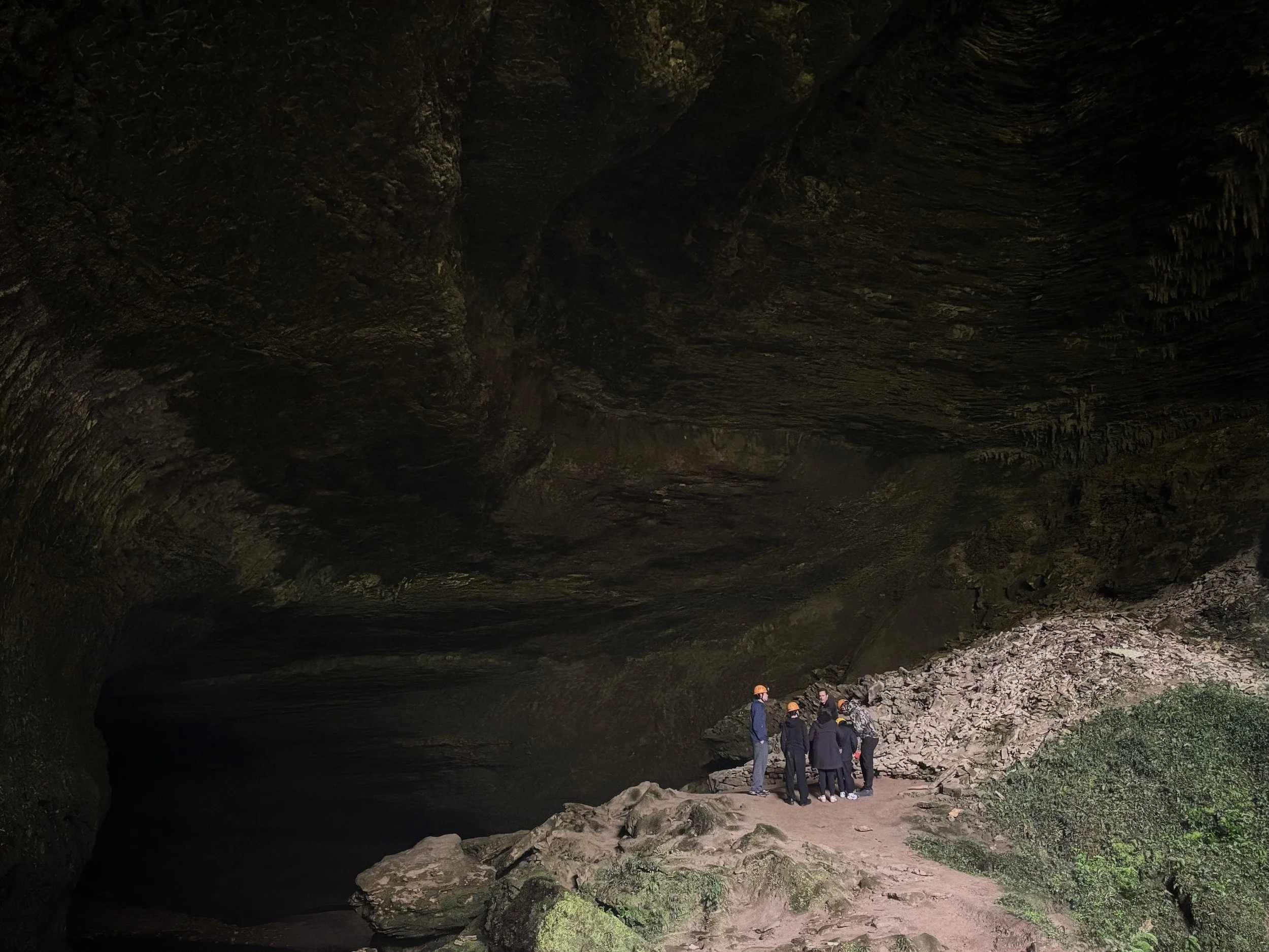 New Zealand glow worm cave