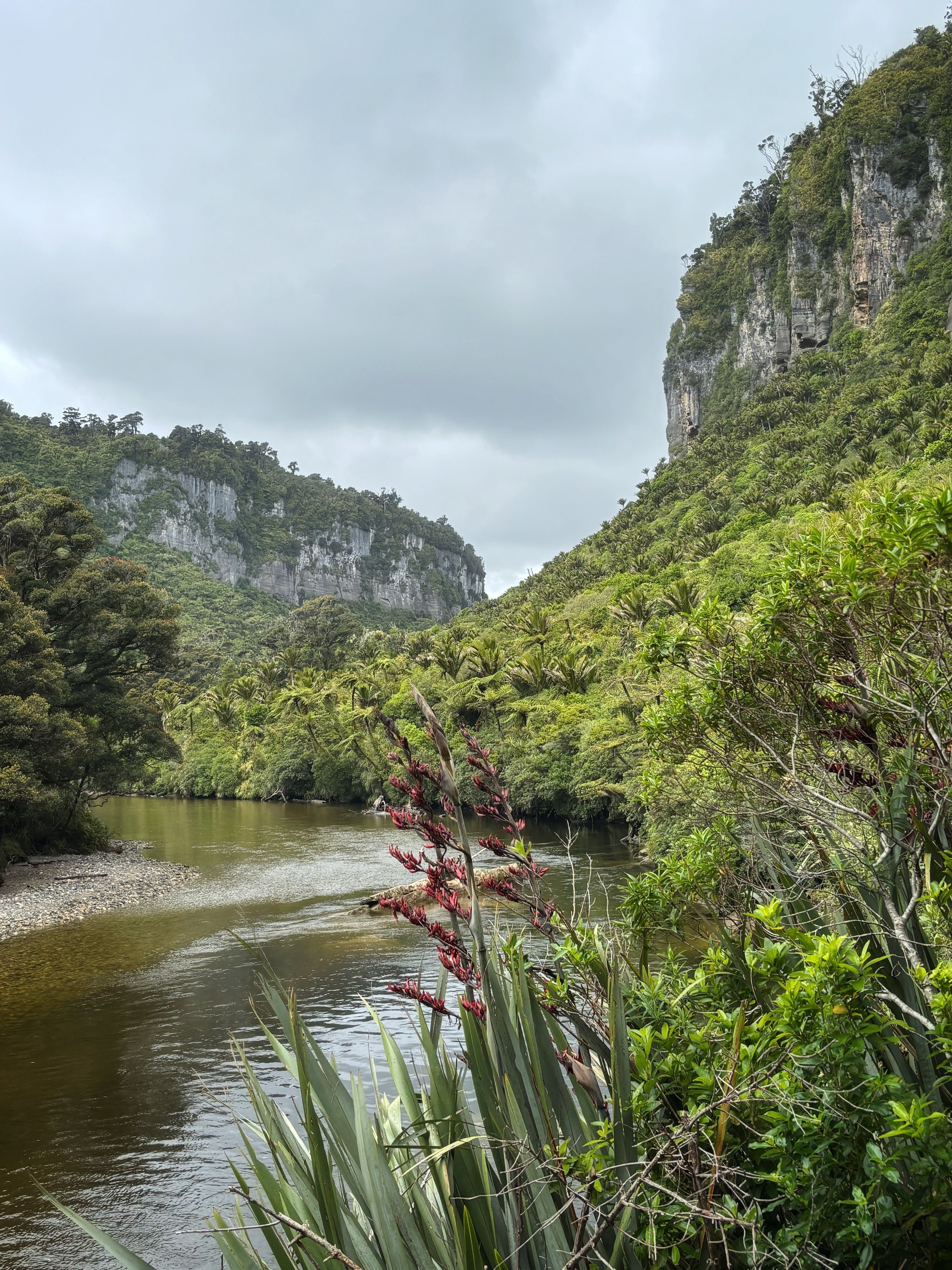 Punakaiki Pororari River Track