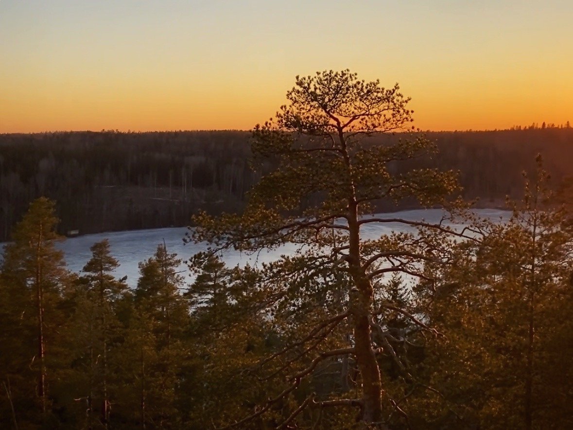 Nuuksion kansallispuisto