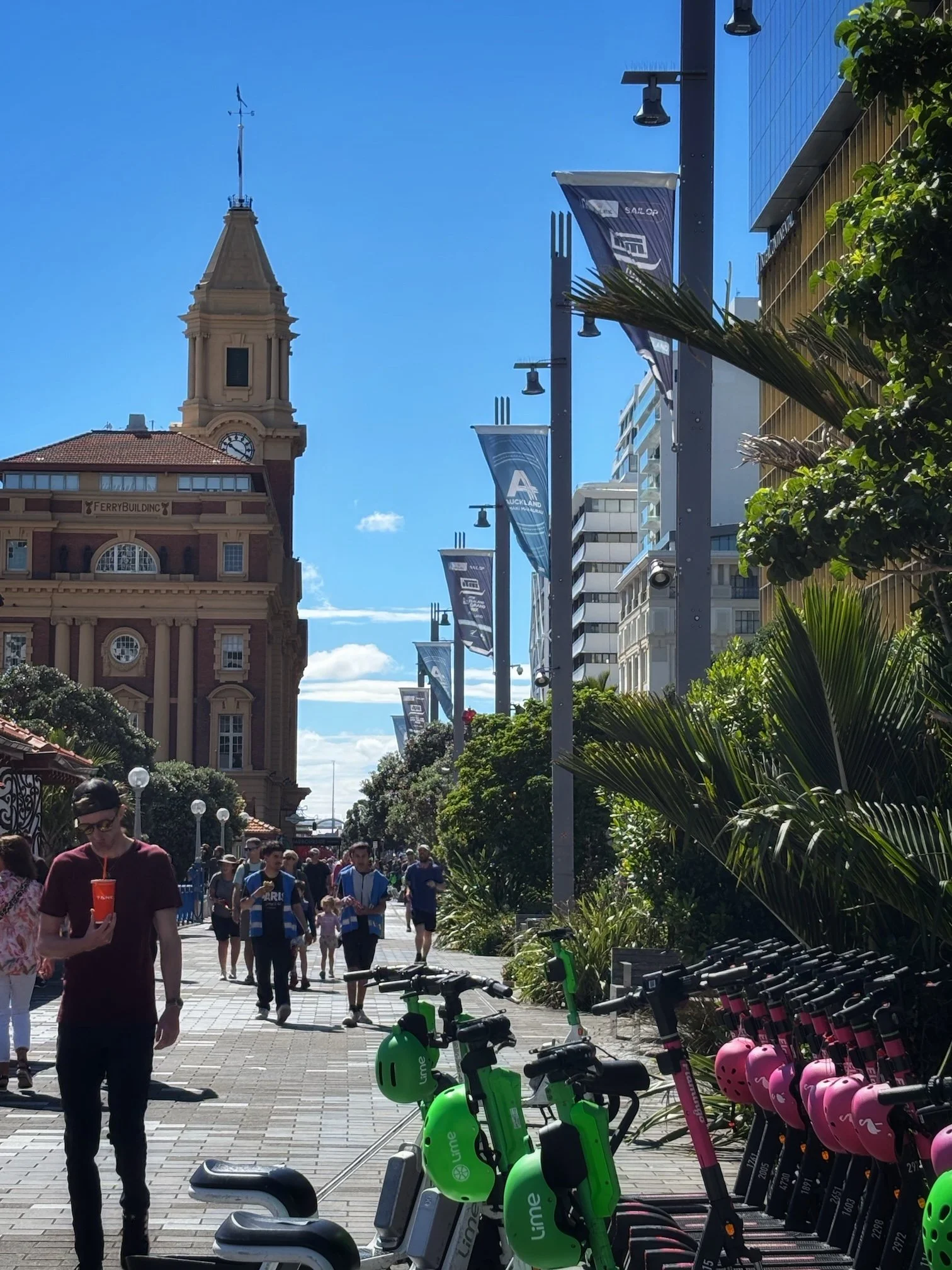 Harbour in Auckland New Zealand