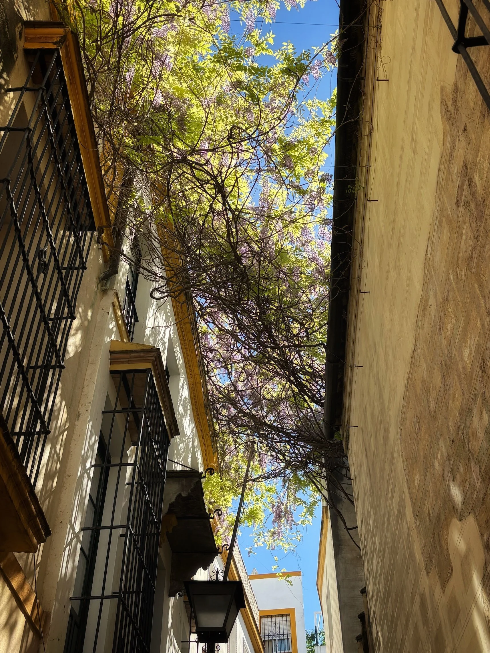 Sevilla old town