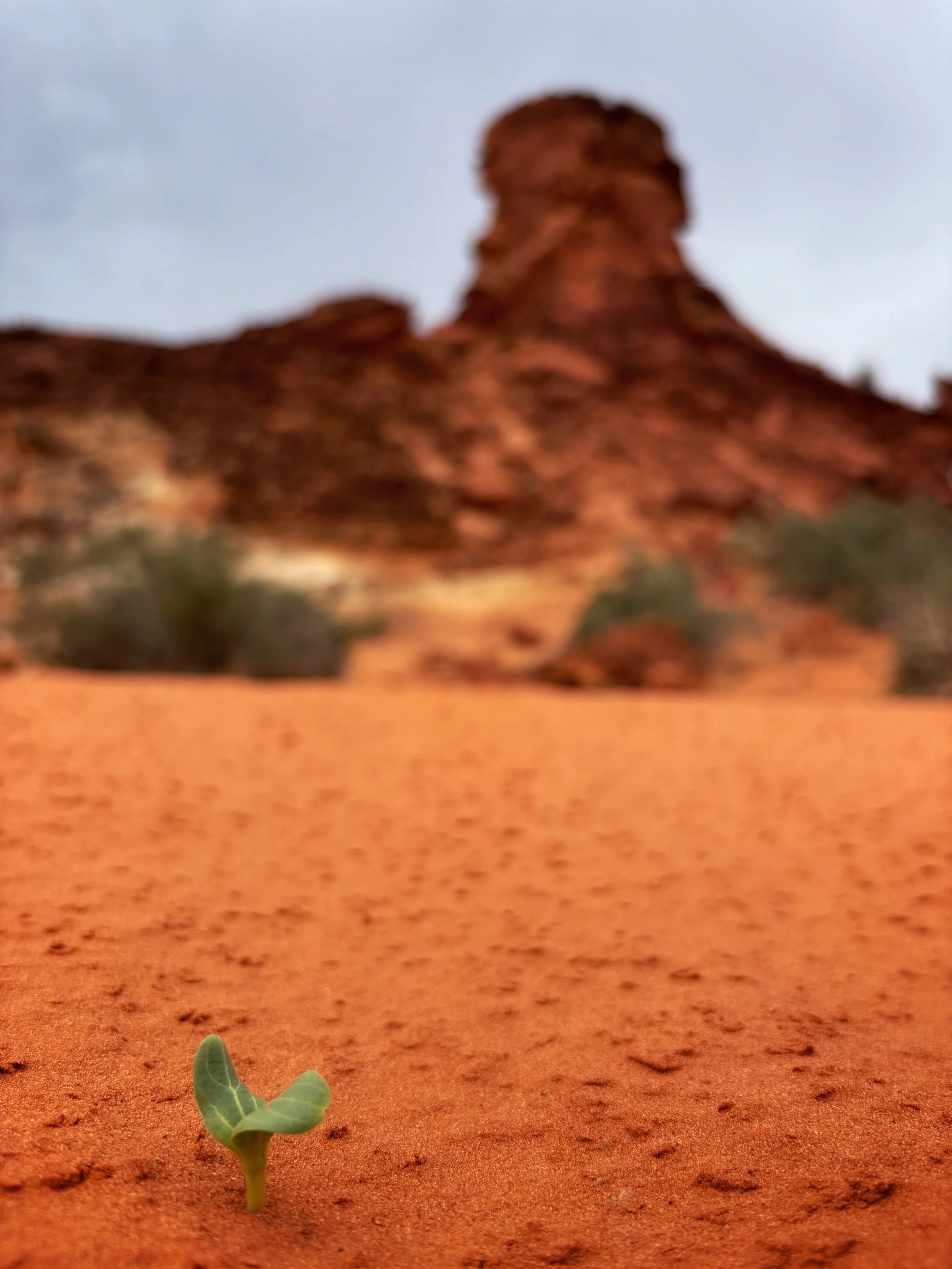 Rainbow Valley, Red Centre