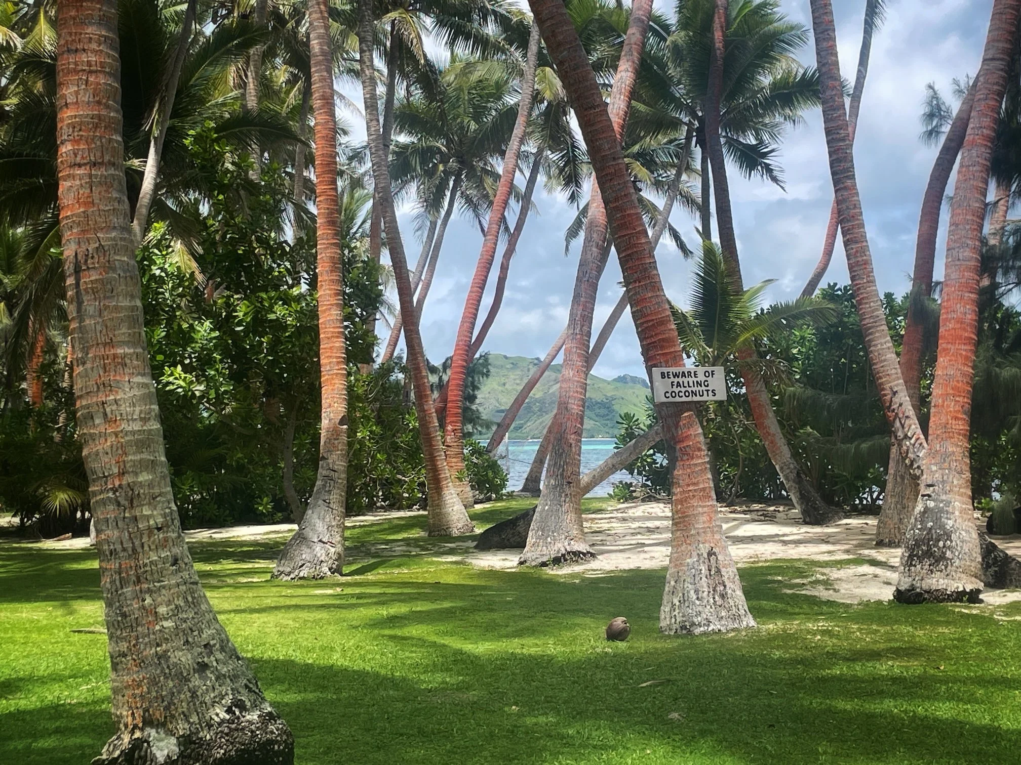 Fiji Coconut Beach Resort