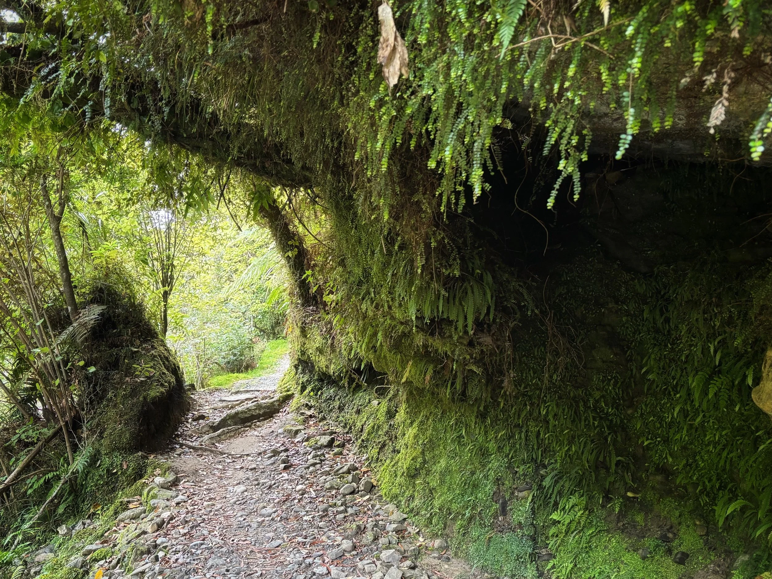 Pororari River Track New Zealand