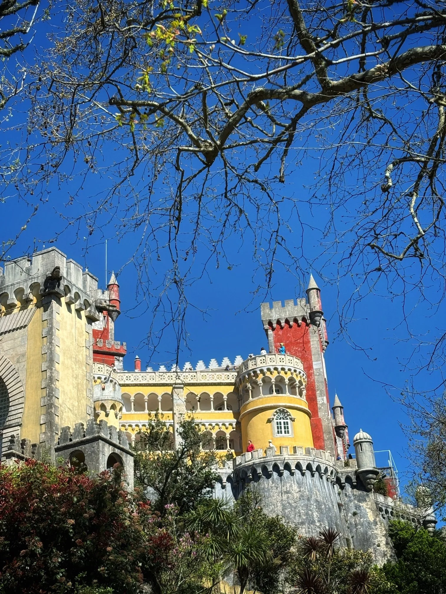 Palacia Nacional de Pena