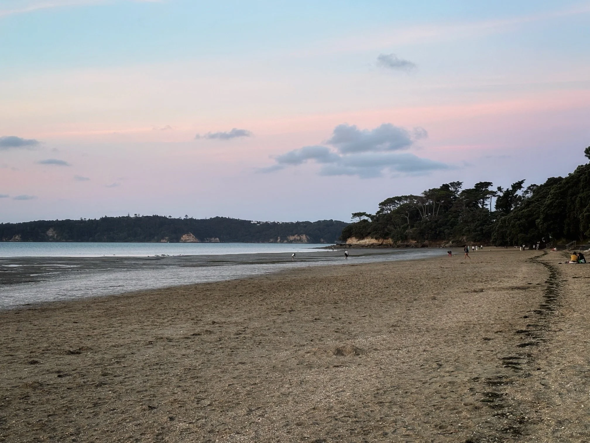 Point Chevalier beach in the evening, low tide, Auckland