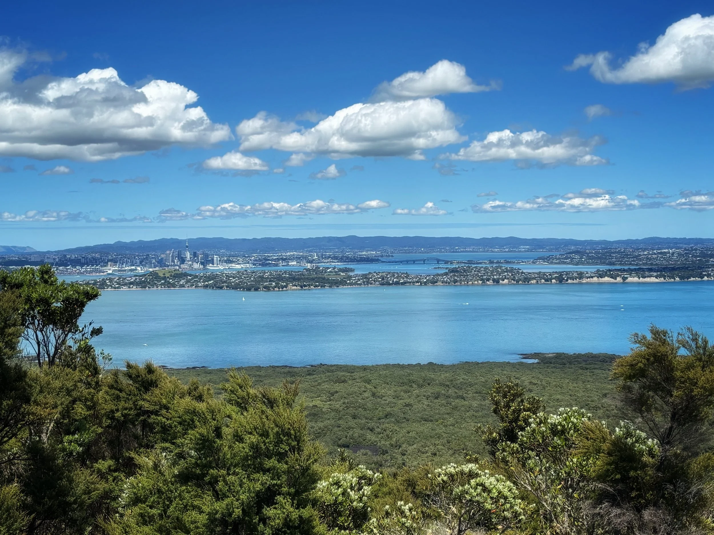 View from Rangitoto Island Auckland