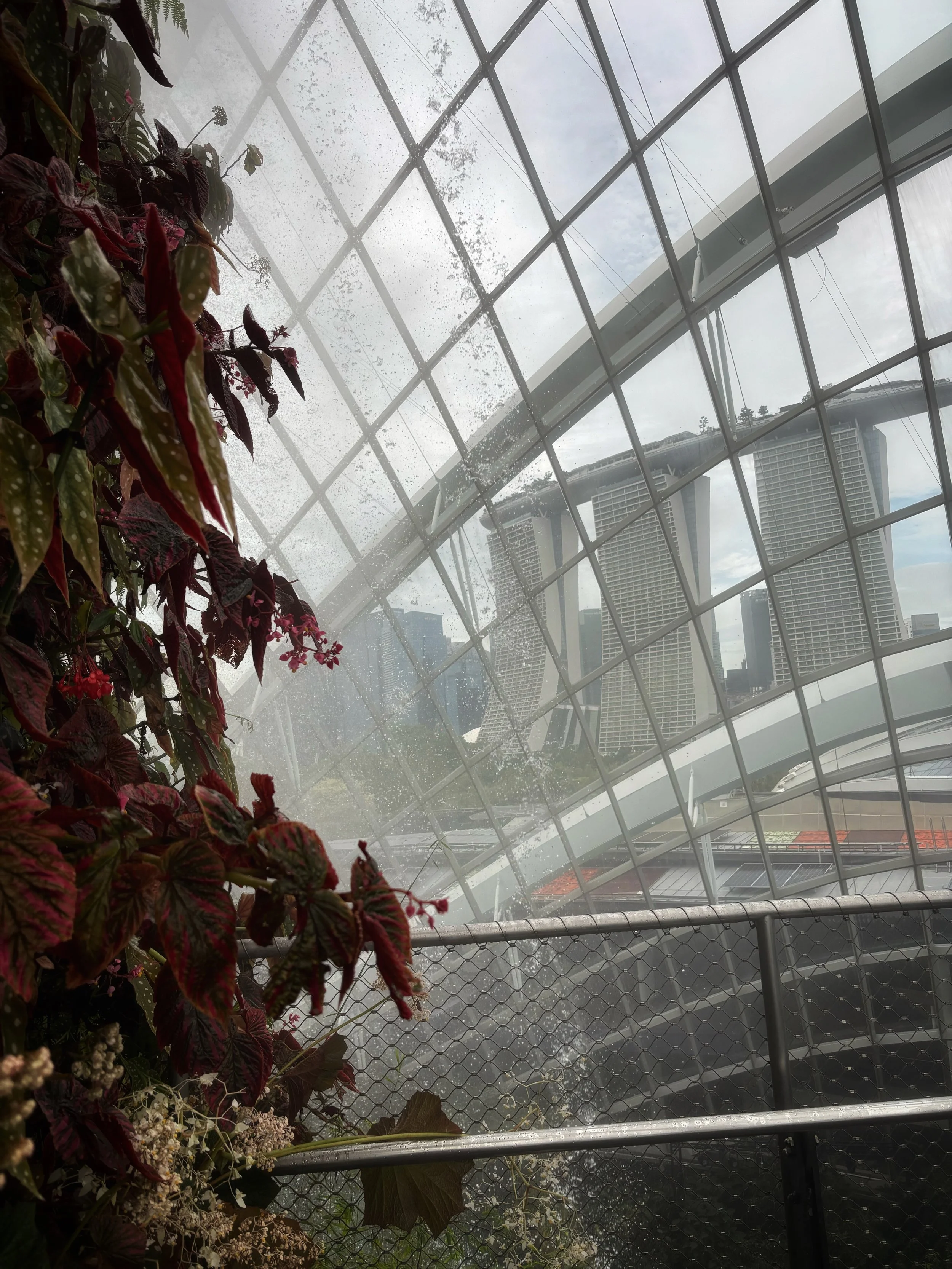 Cloud Dome Gardens by the Bay
