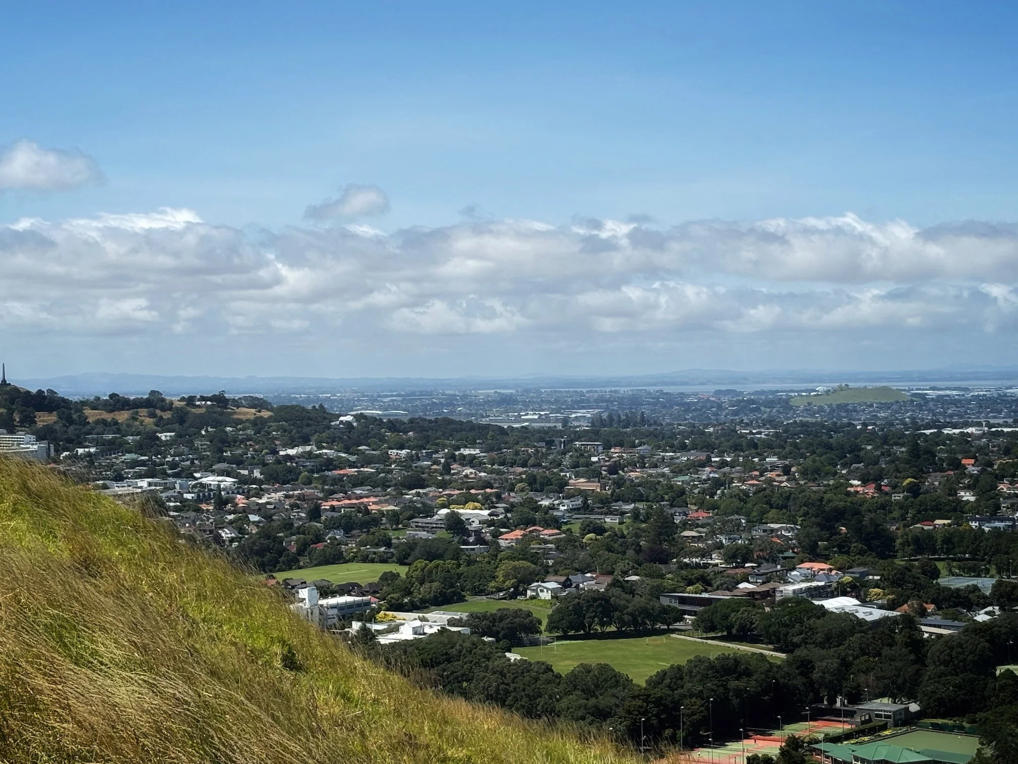View from Mt Eden