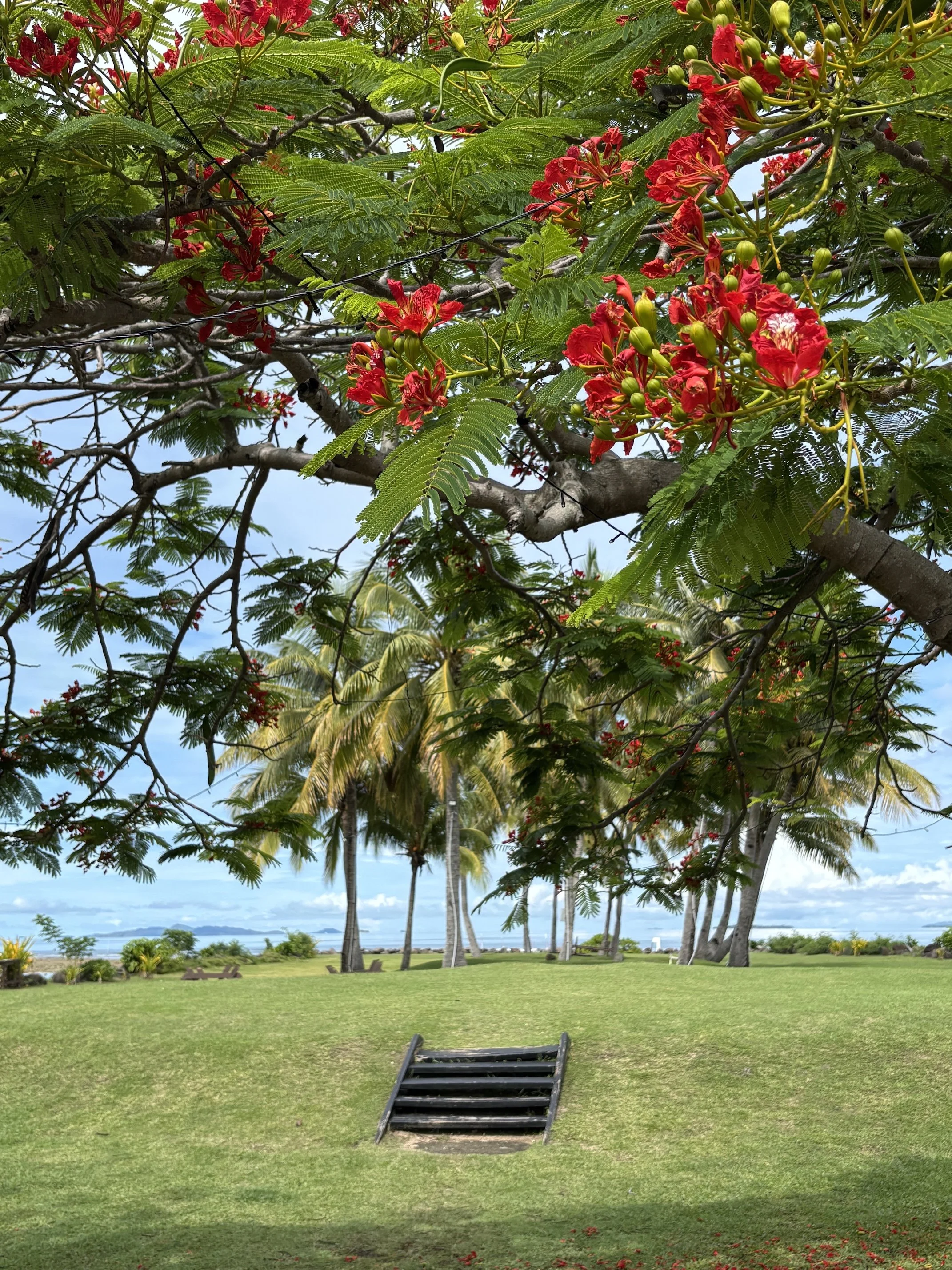 Fiji Viti Levu