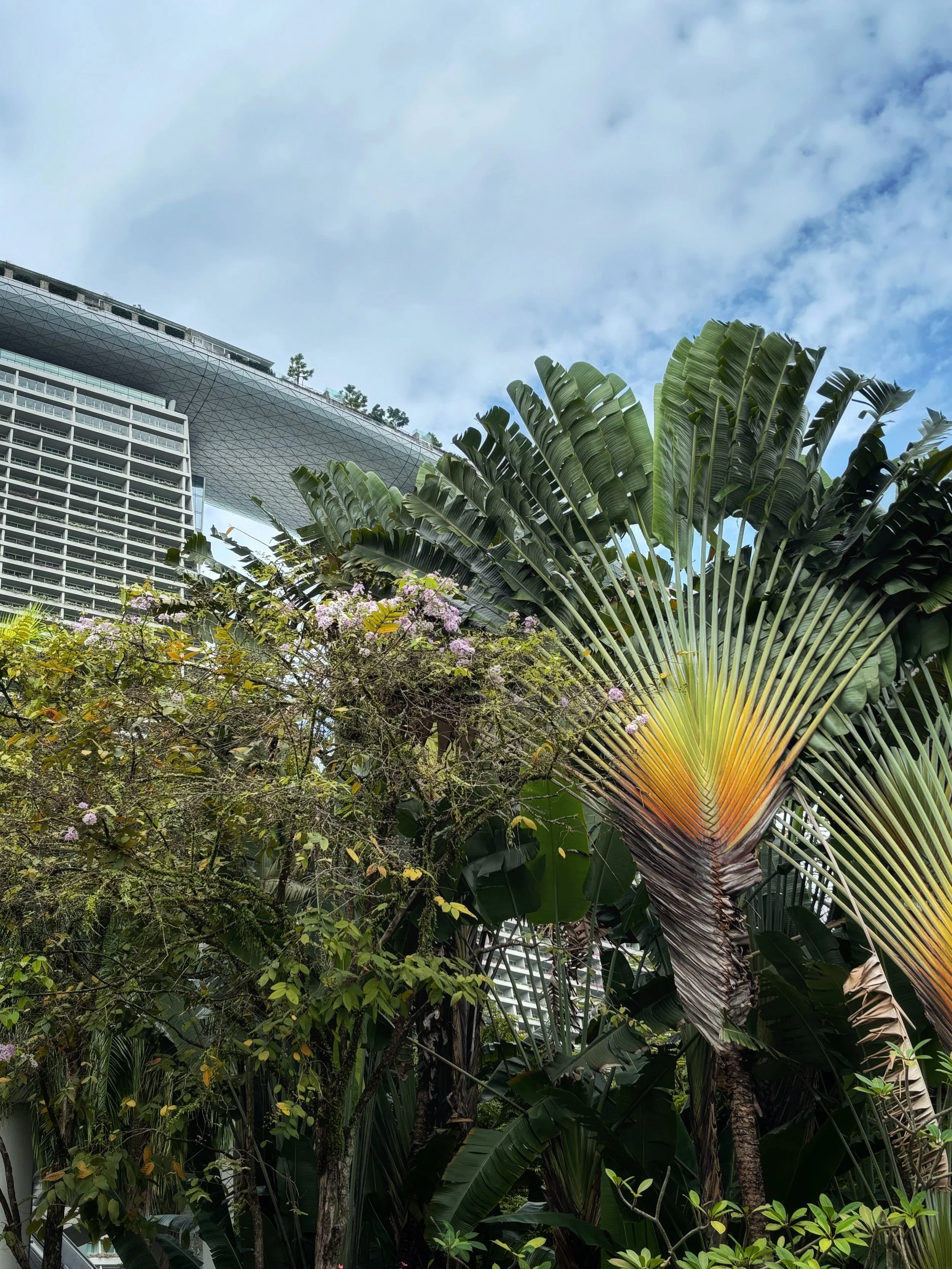 Gardens by the Bay