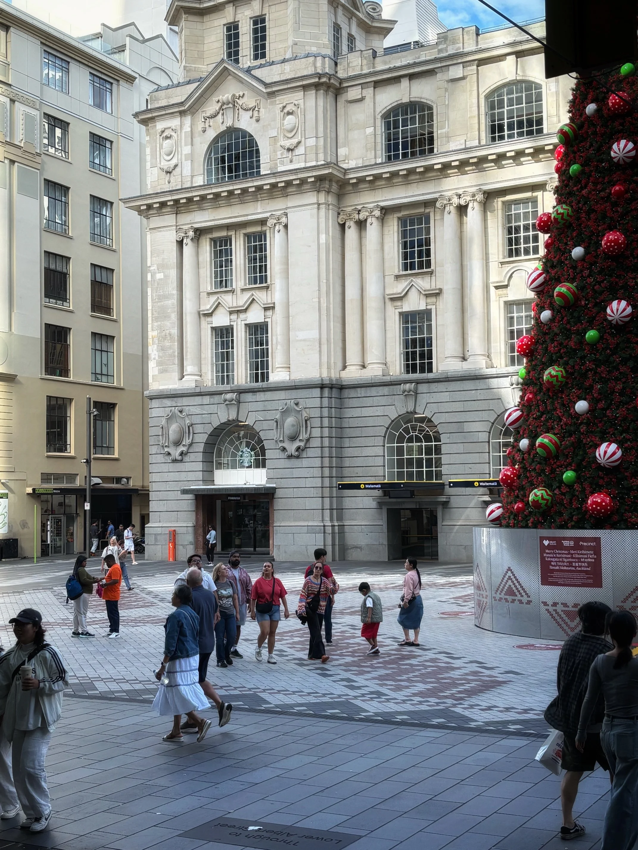 Christmas tree in Auckland New Zealand