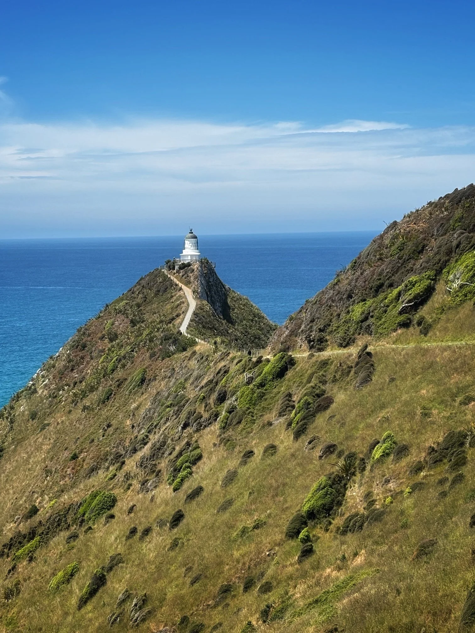 Nugget Bay Uusi-Seelanti