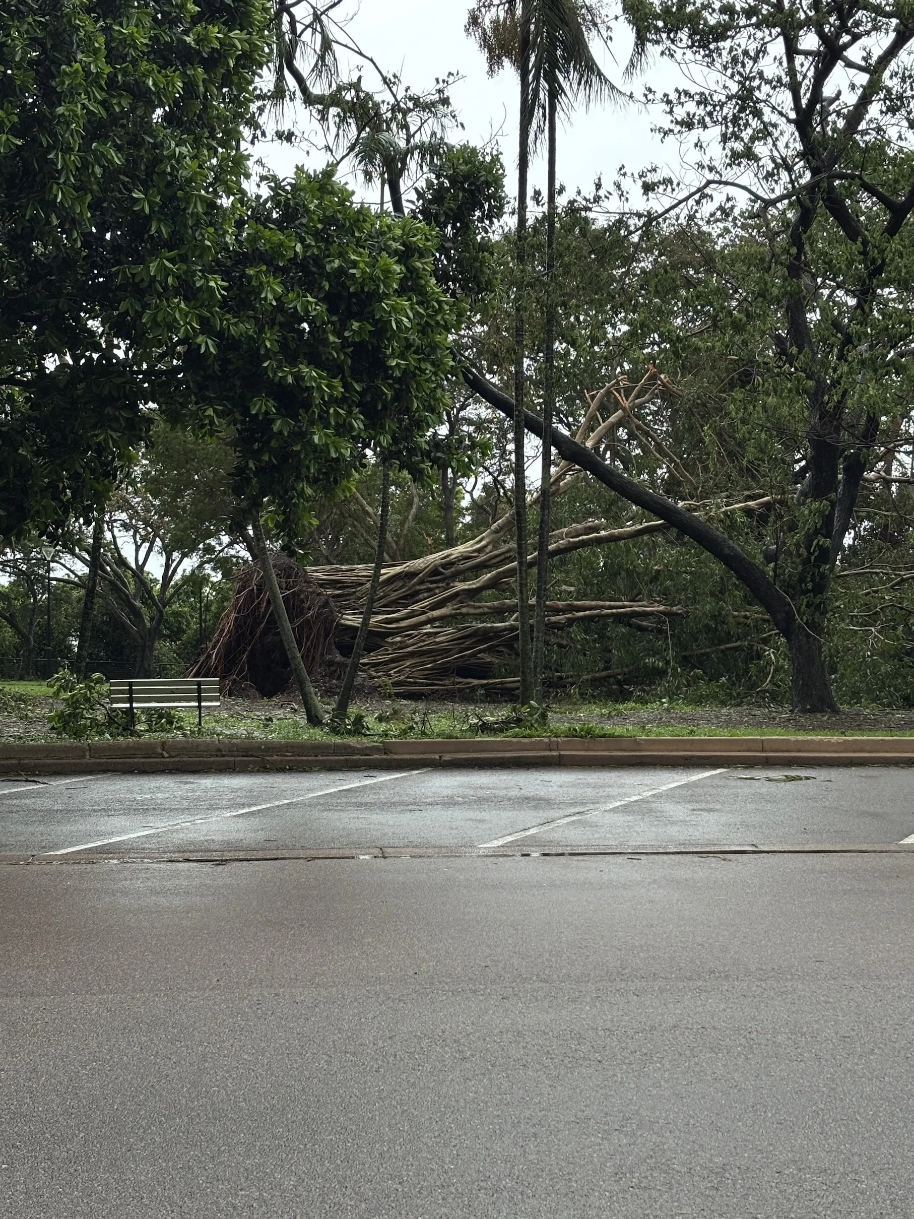 sykloni darwin australia