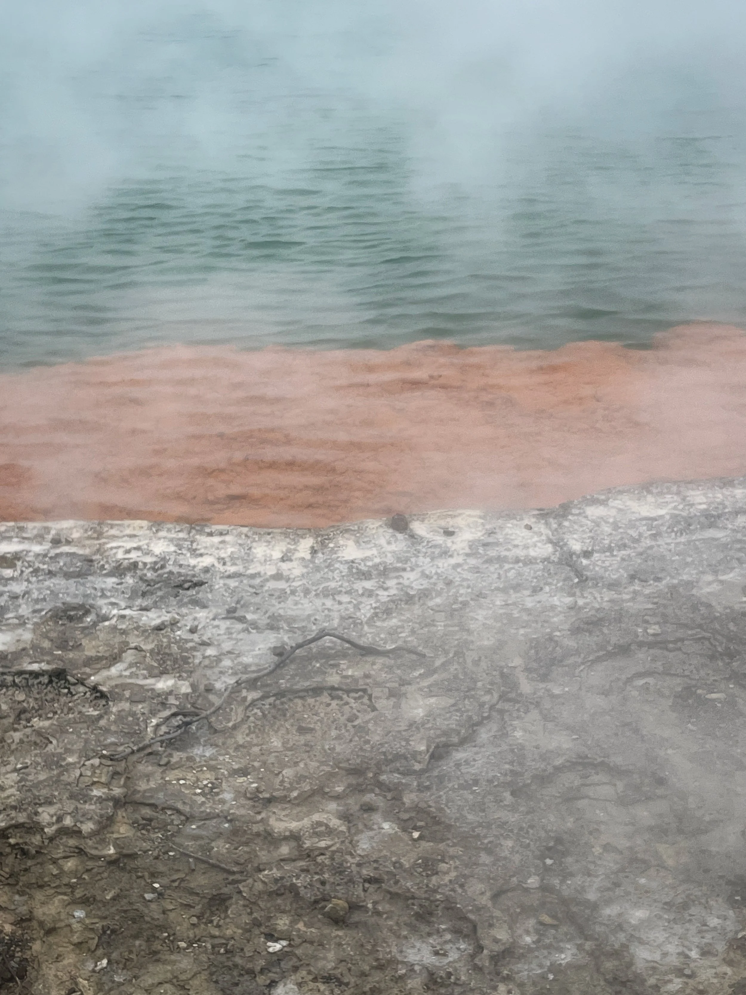 Waiotapu Thermal Wonderland Rotorua New Zealand