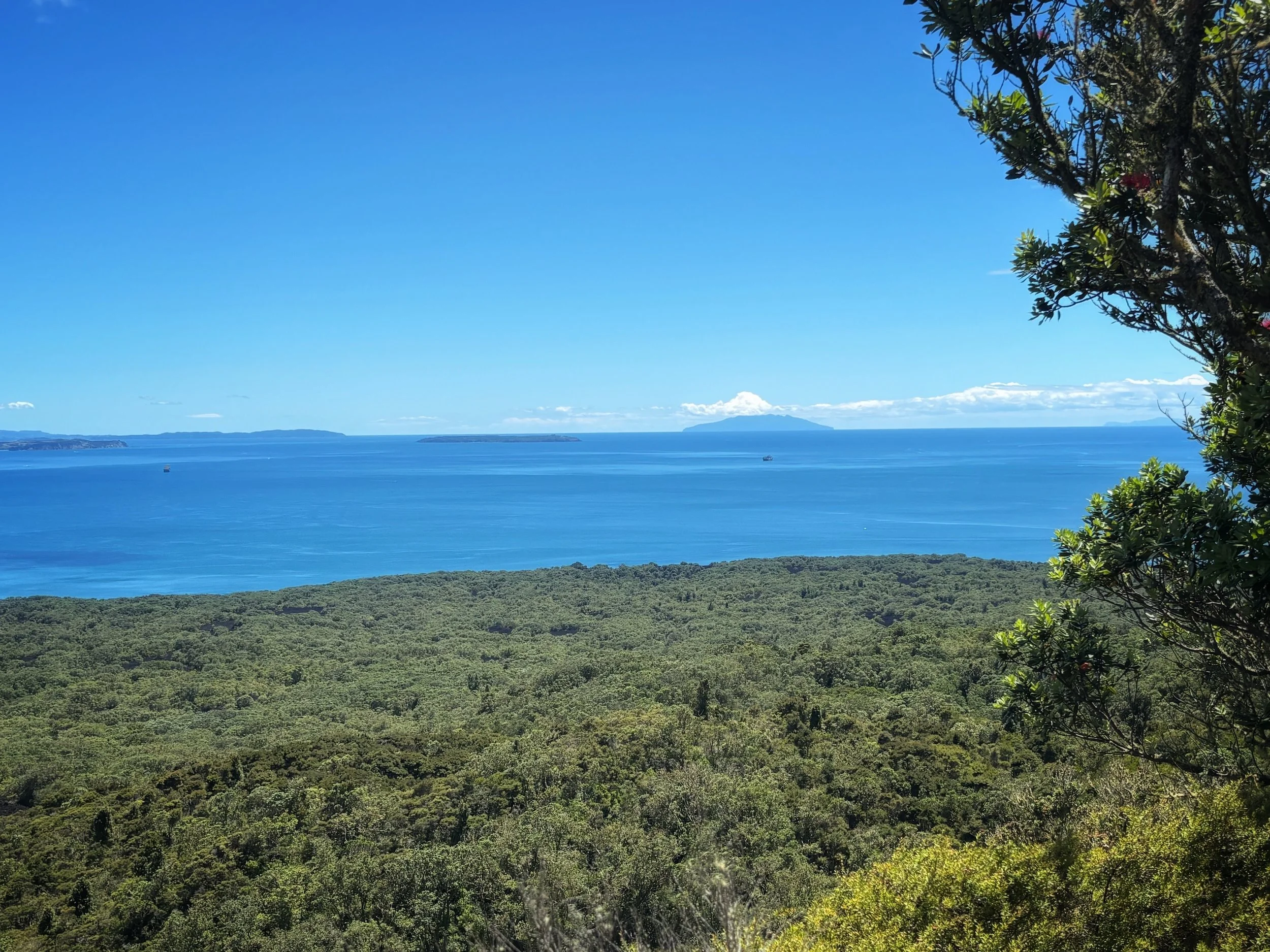 View from Rangitoto Island