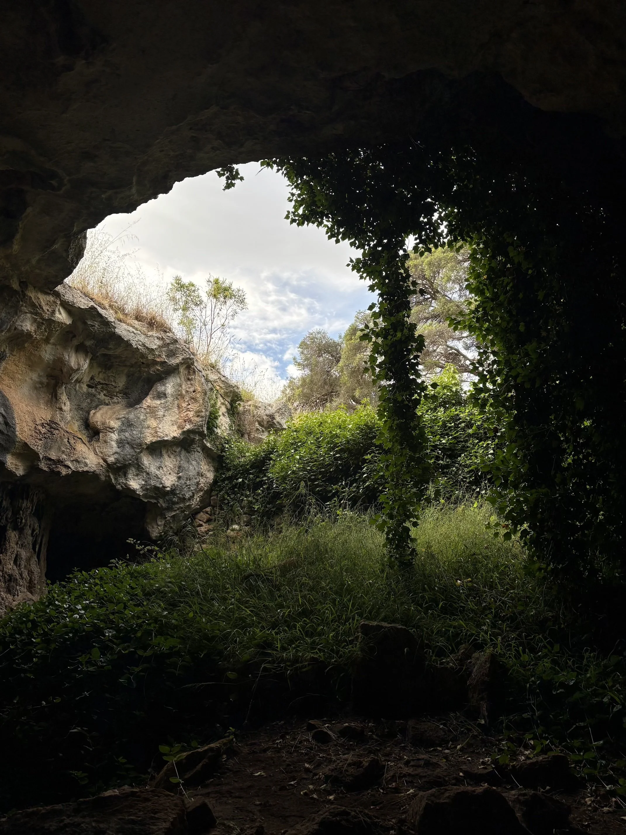 Naracoorte Caves, South Australia