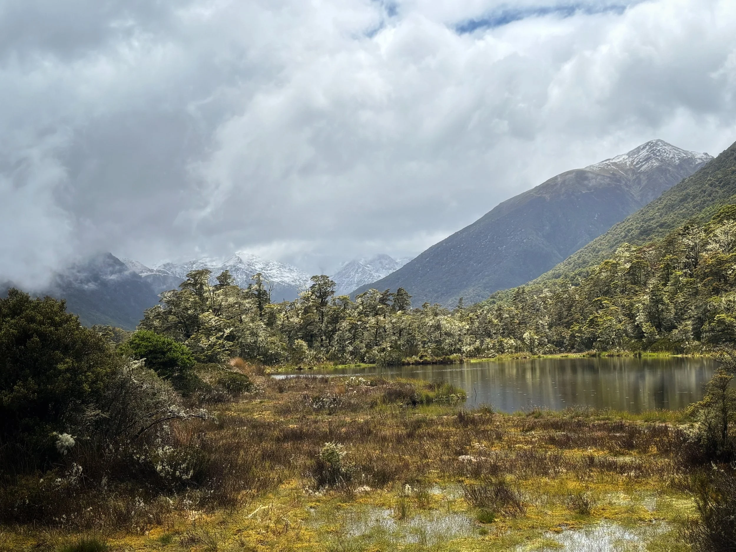 Lewis Pass Uusi-Seelanti