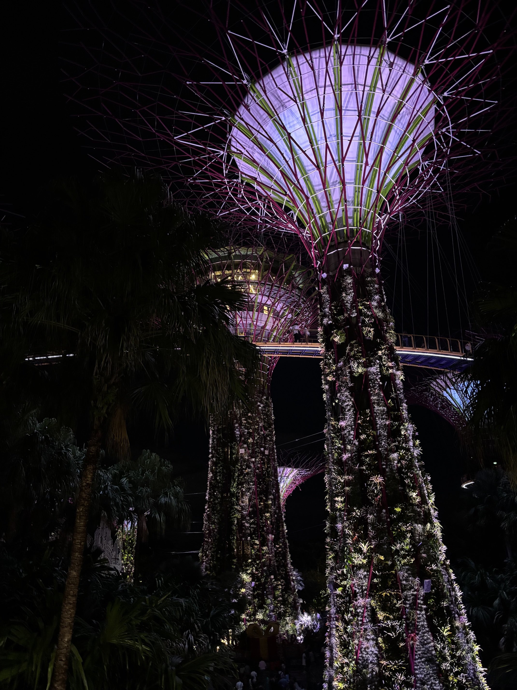 Garden Rhapsody Gardens by the Bay