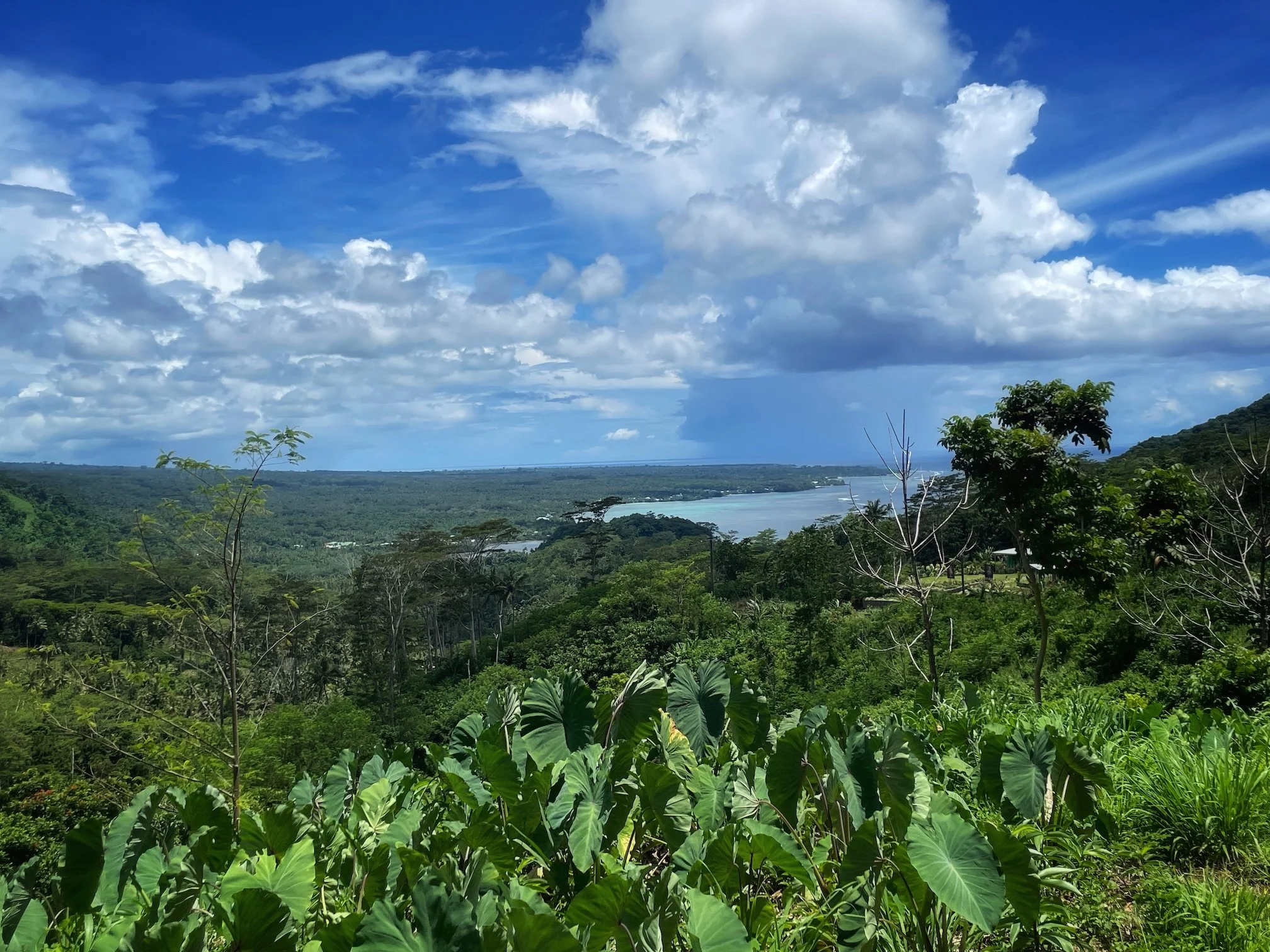 A view in Samoa