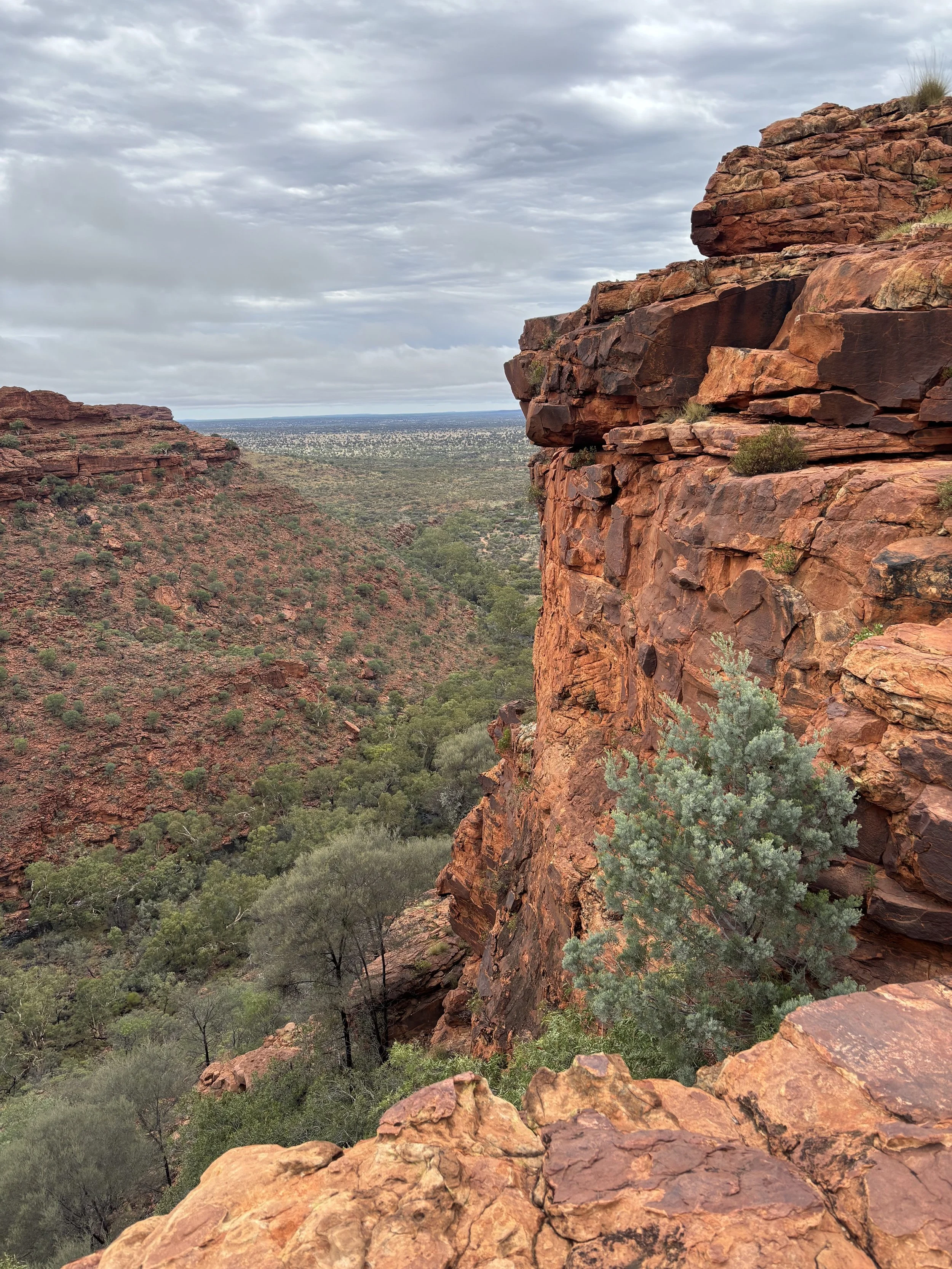 Kings Canyon Rim Walk Australia