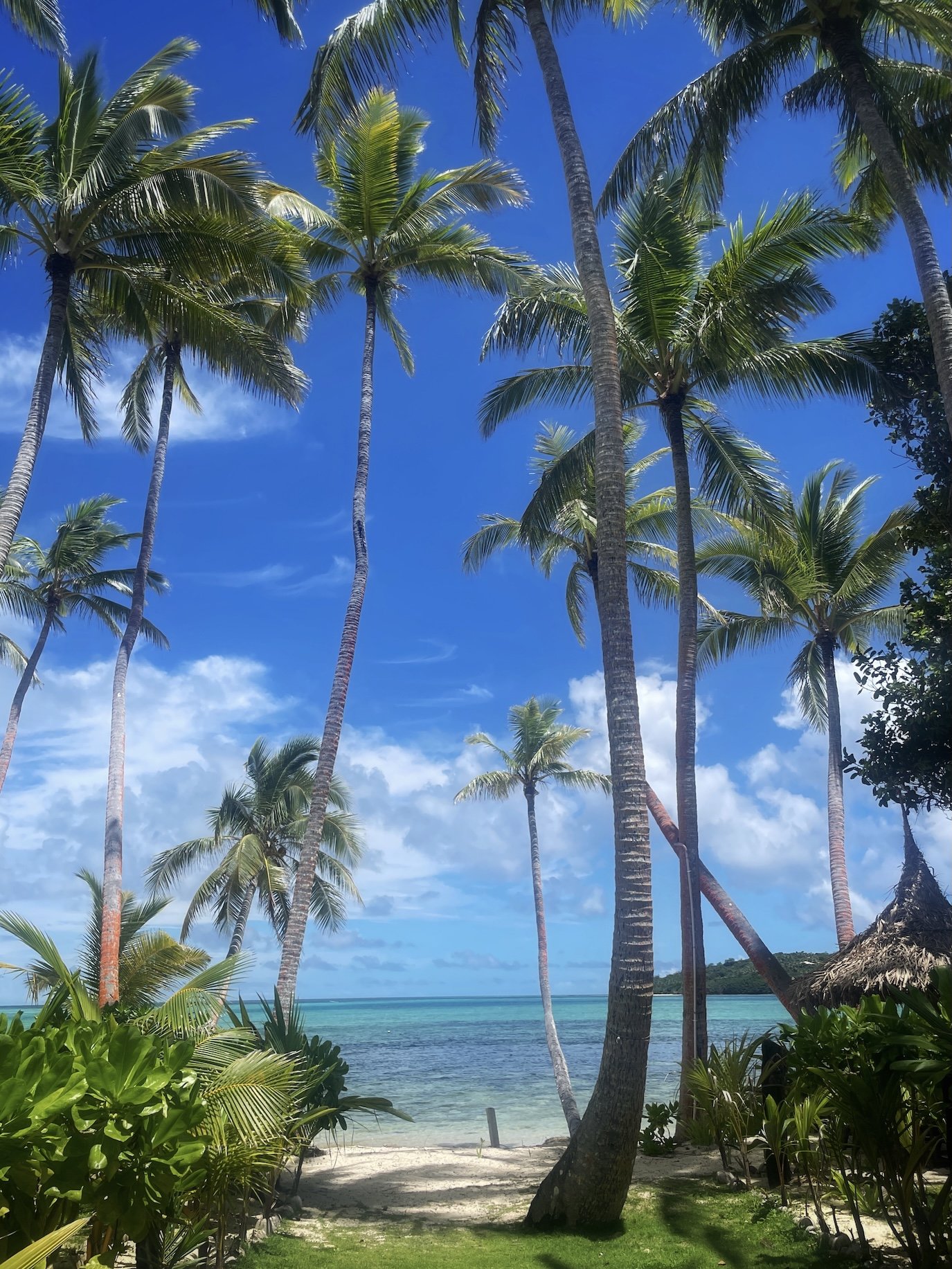 Fiji Coconut Beach Resort
