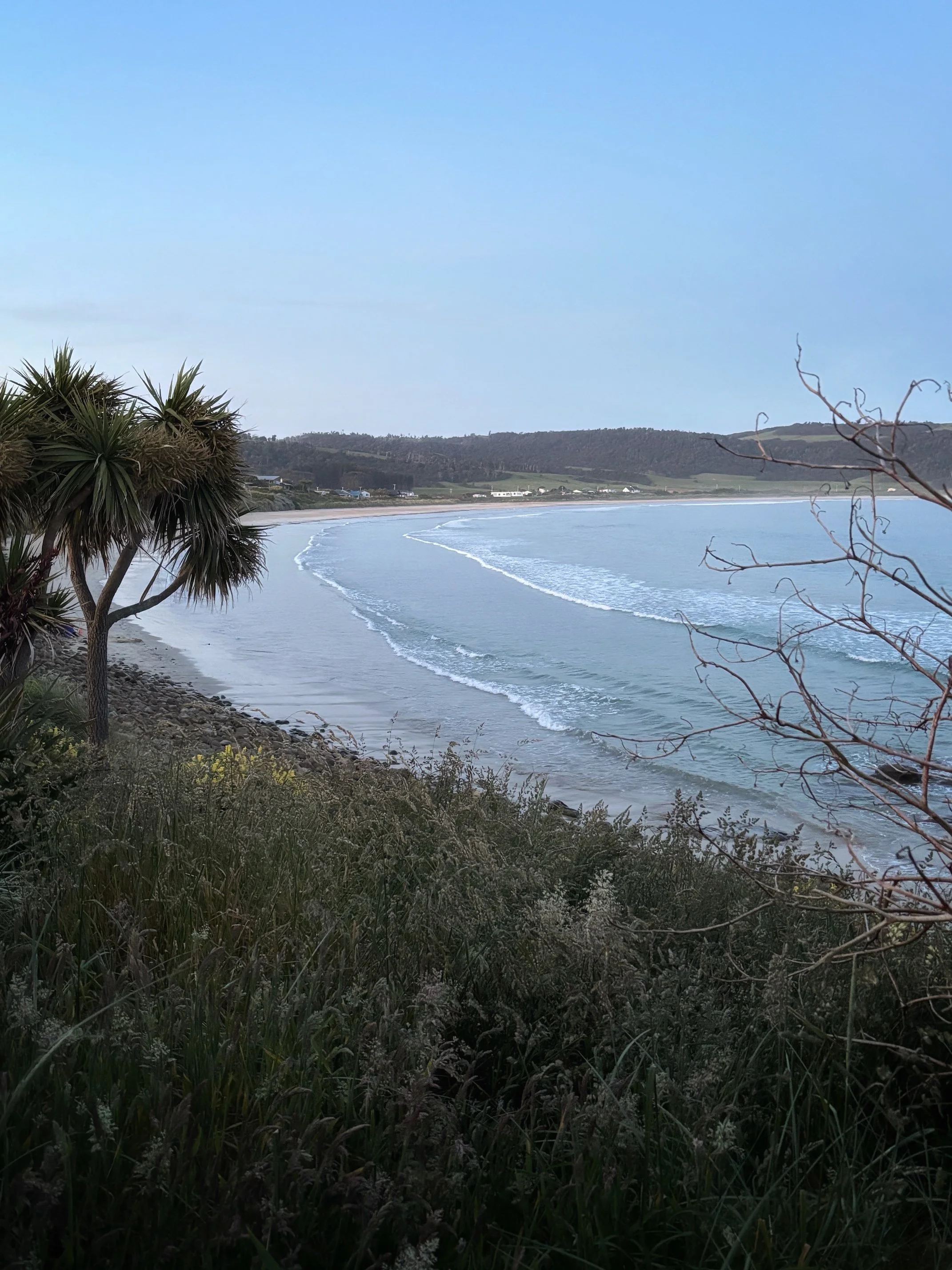 Curio Bay beach