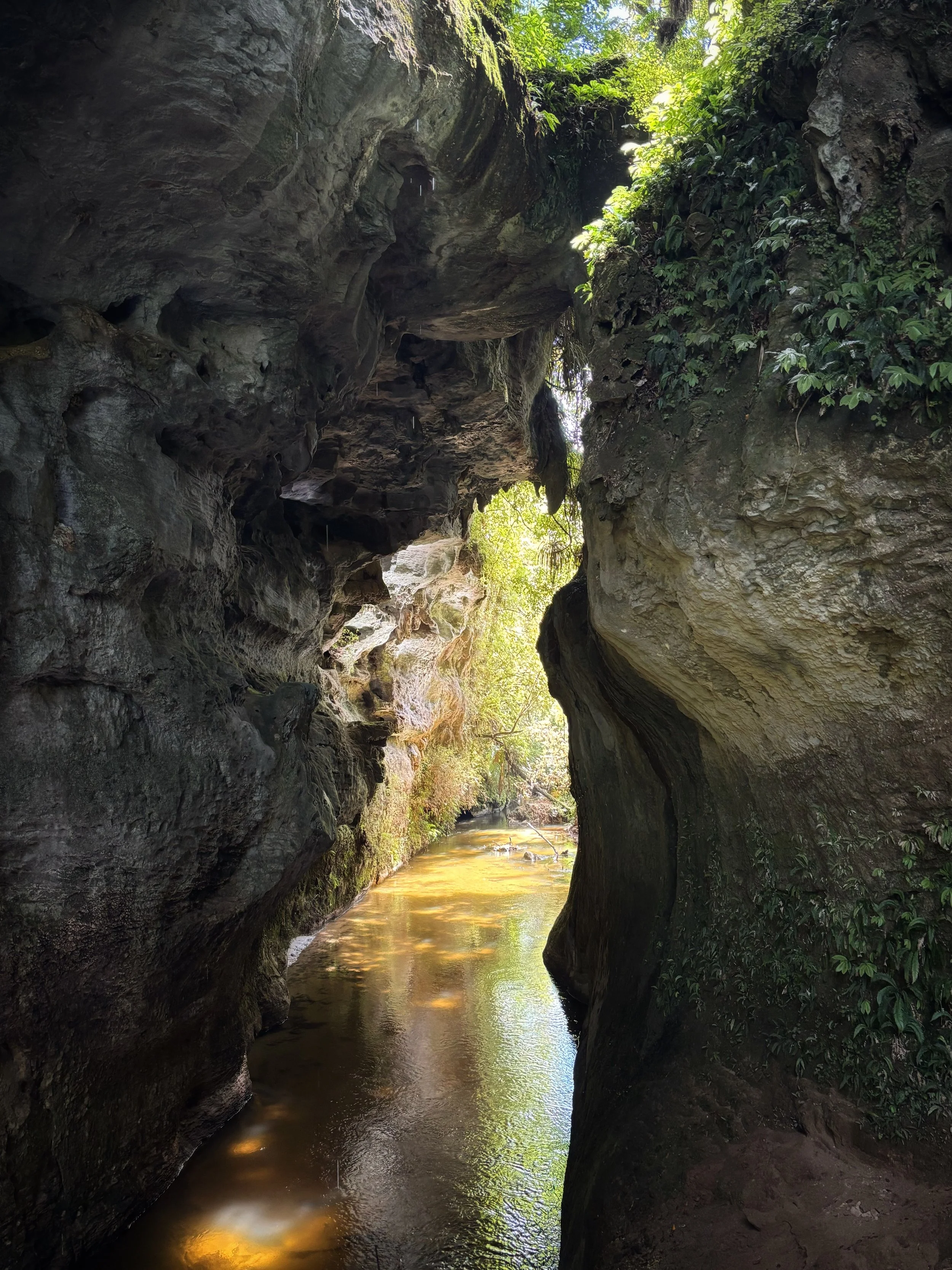 Mangapohue Natural Bridge