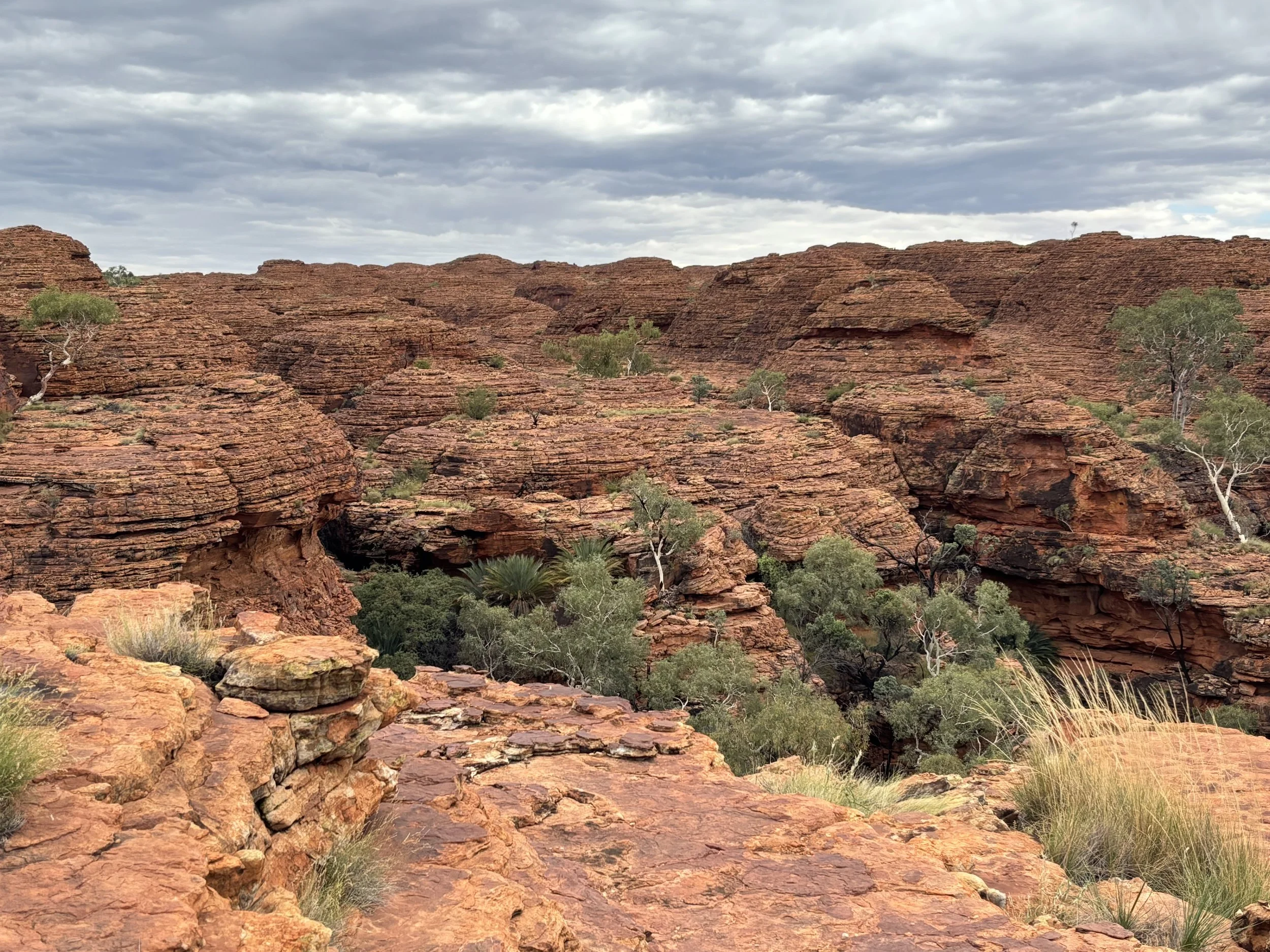 Kings Canyon Rim Walk Australia