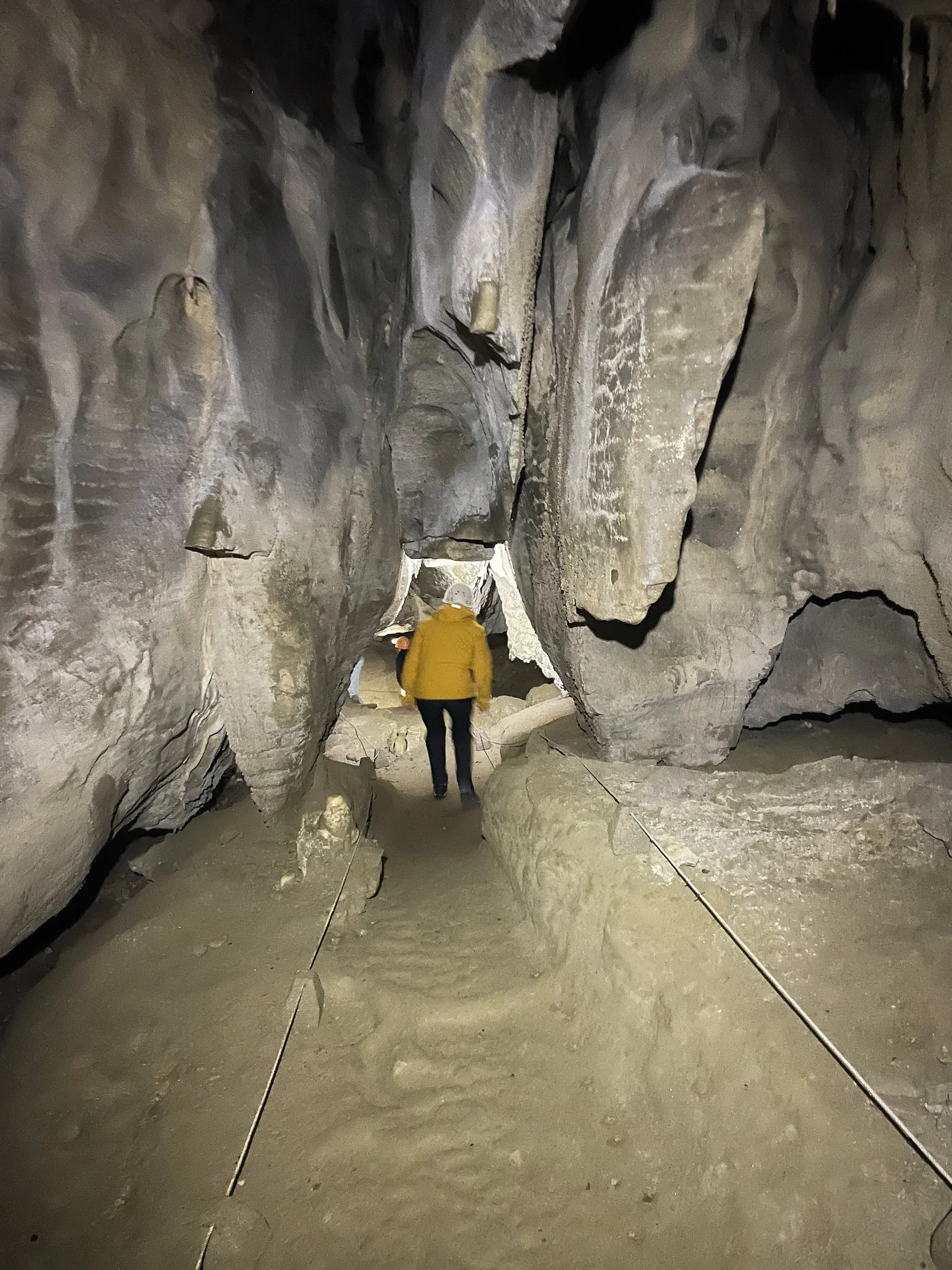 Charleston glow worm cave tour
