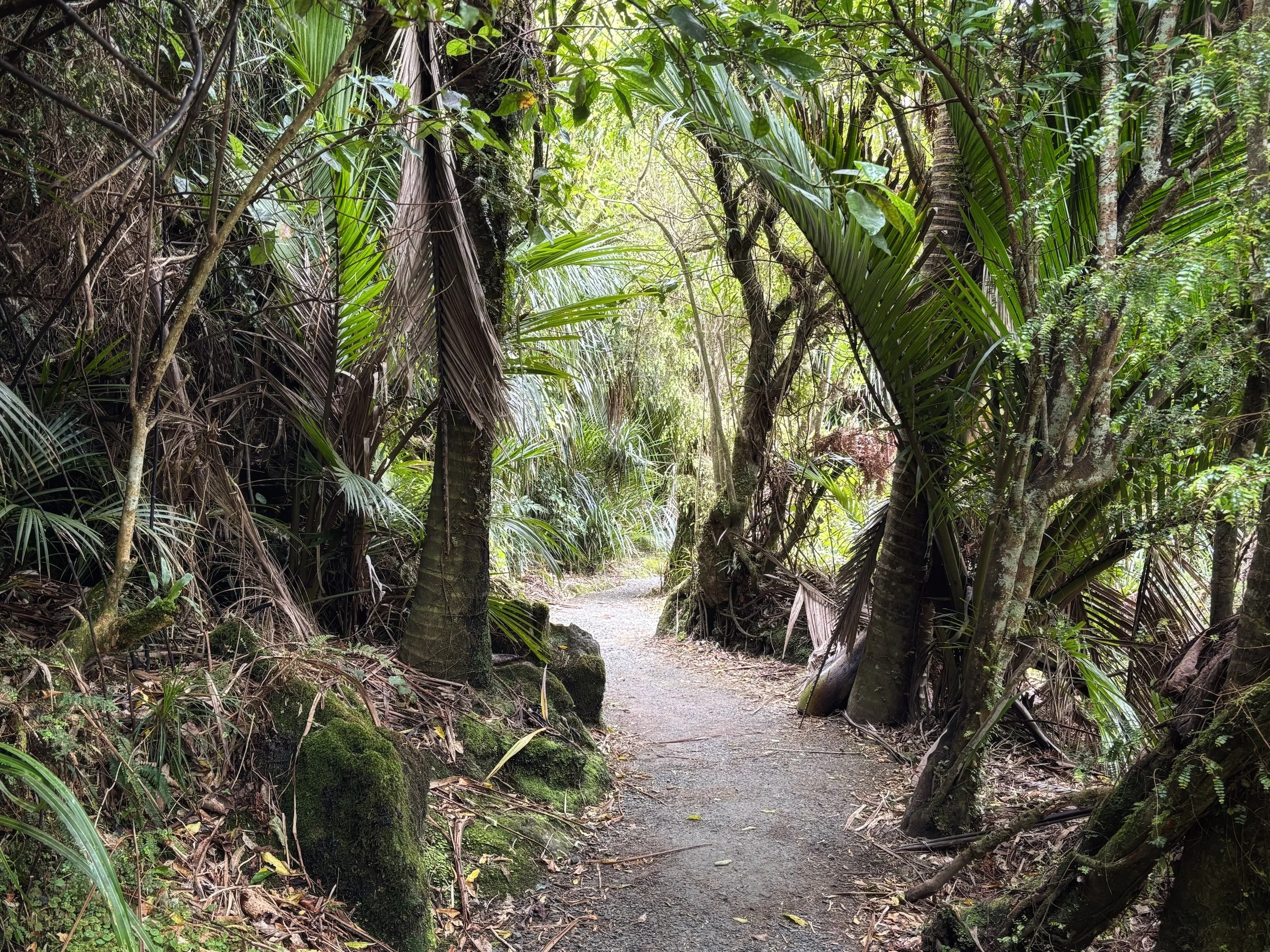 Punakaiki Pororari River Track