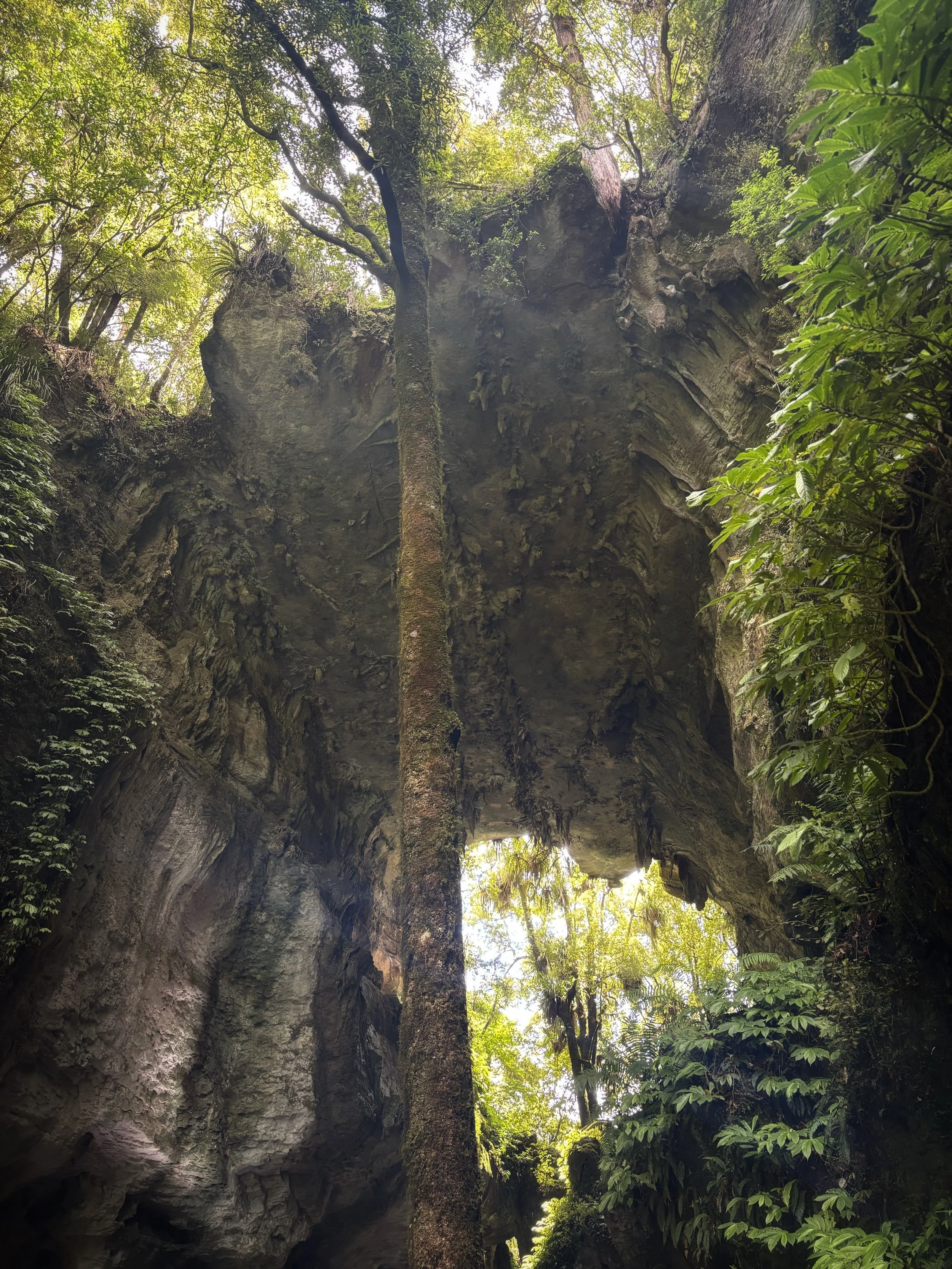 Mangapohue Natural Bridge
