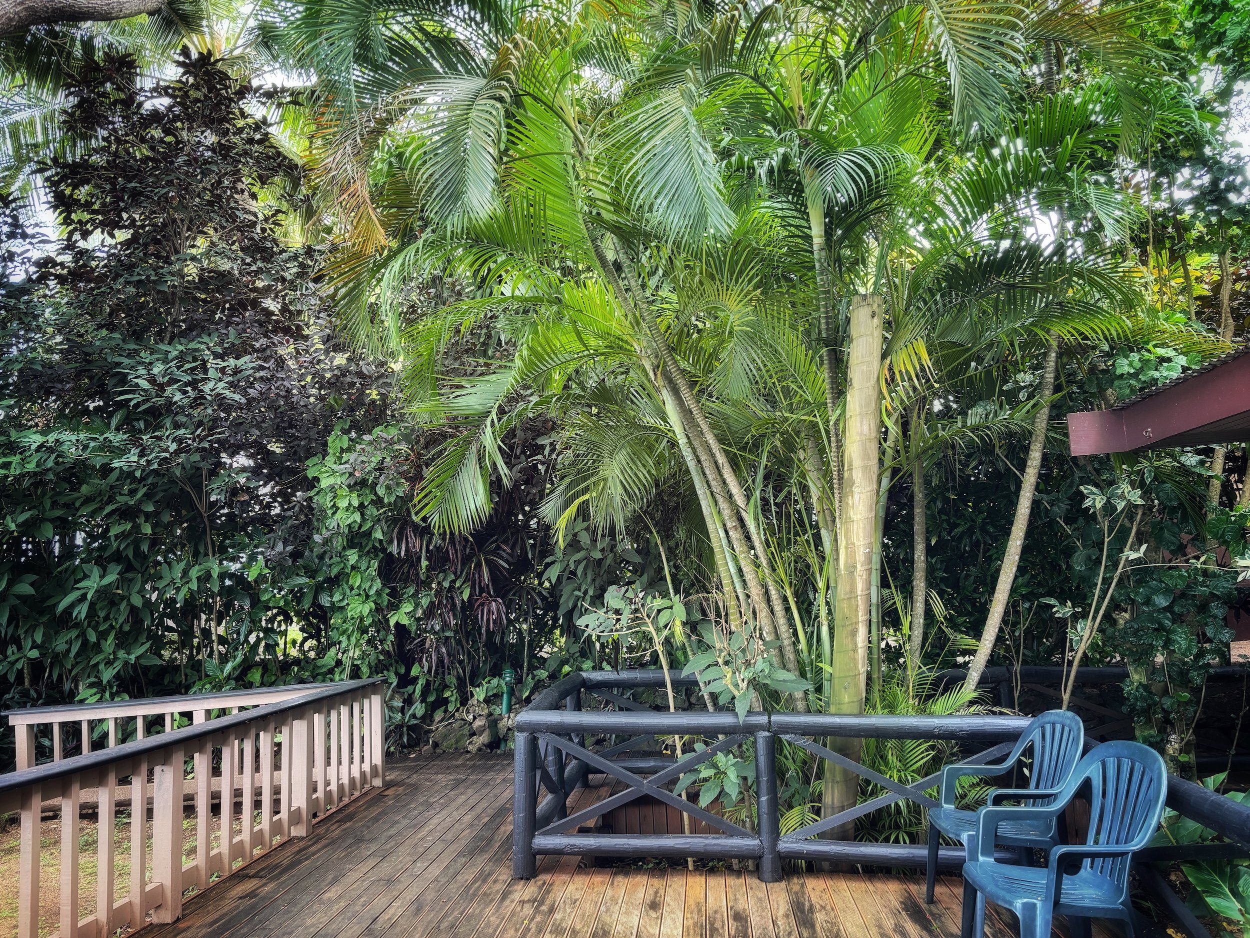 Fiji First Landing Resort