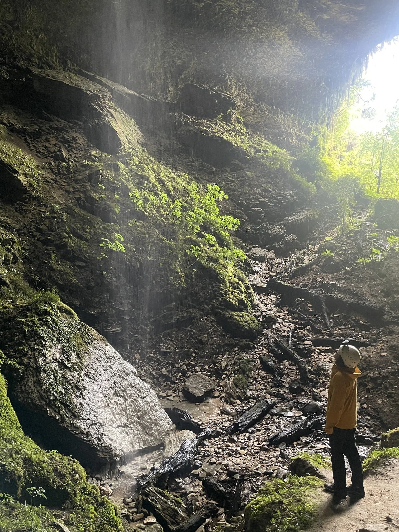 Kiiltomatoluotaretki Uusi-Seelanti