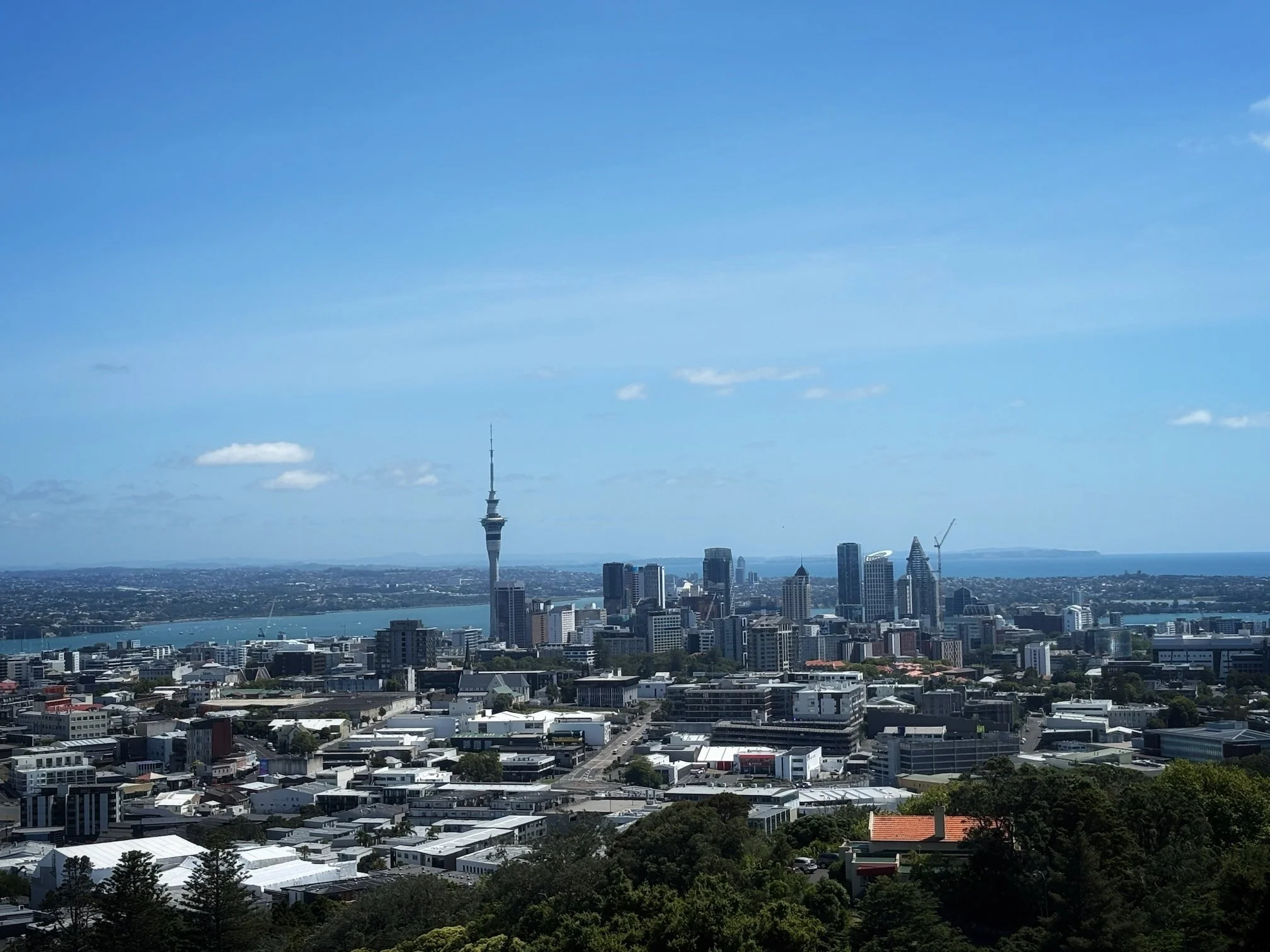 Auckland City Centre from Mt Eden