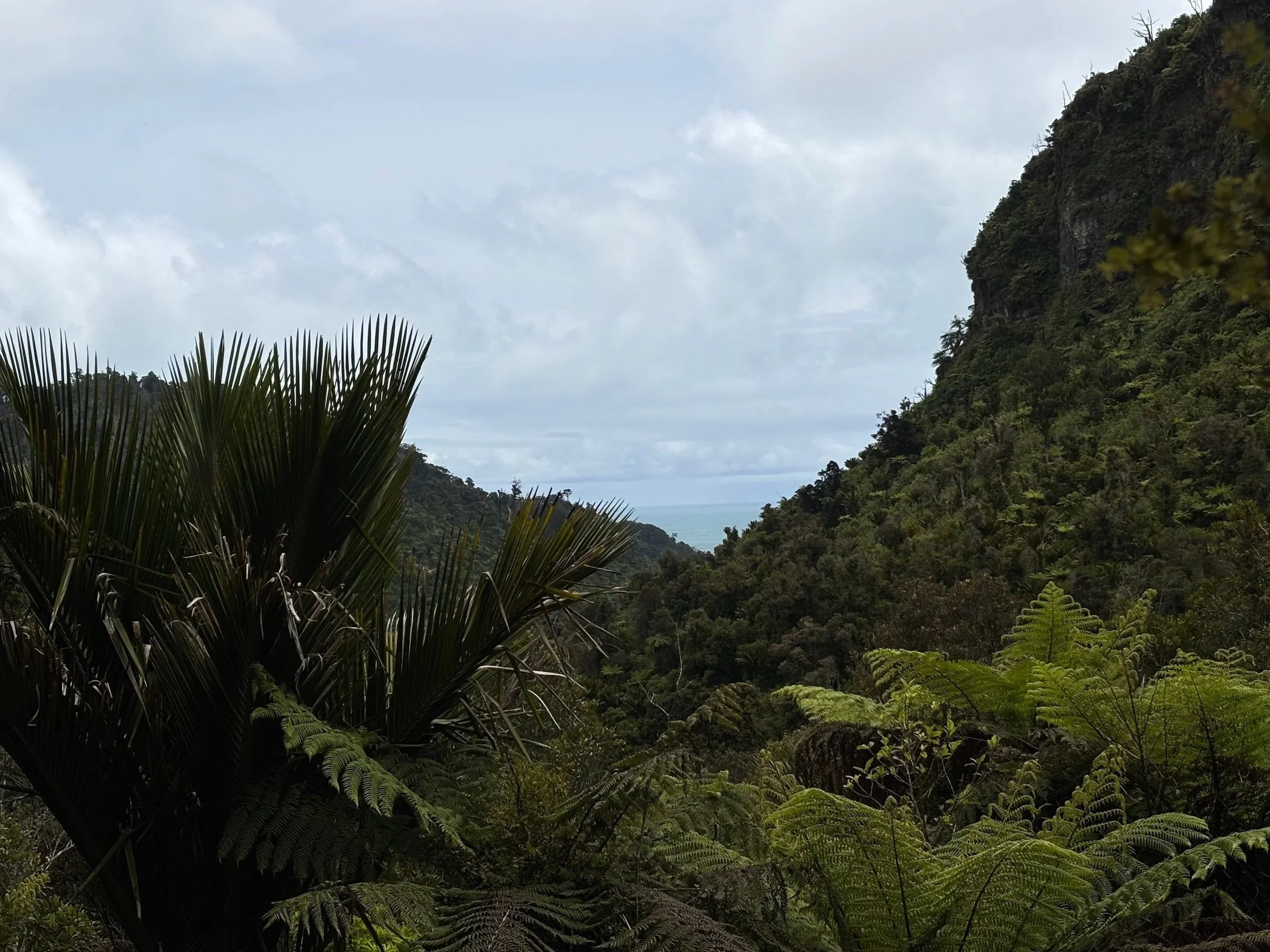 New Zealand West Coast