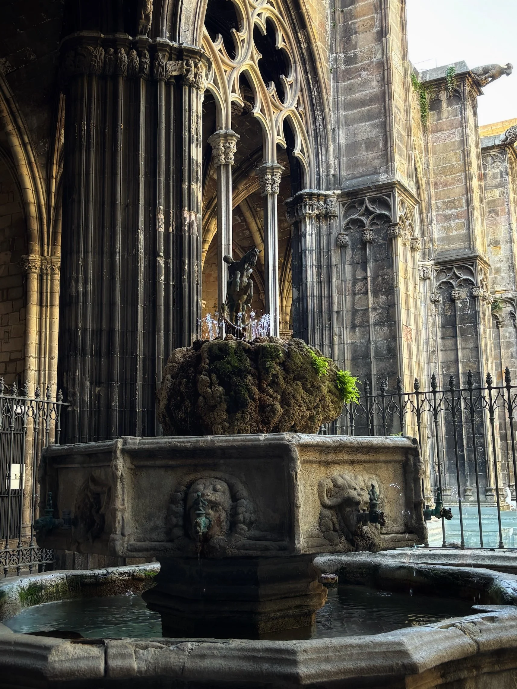 Cathedral Cloister, Gothic Quarter, Barcelona, Spain