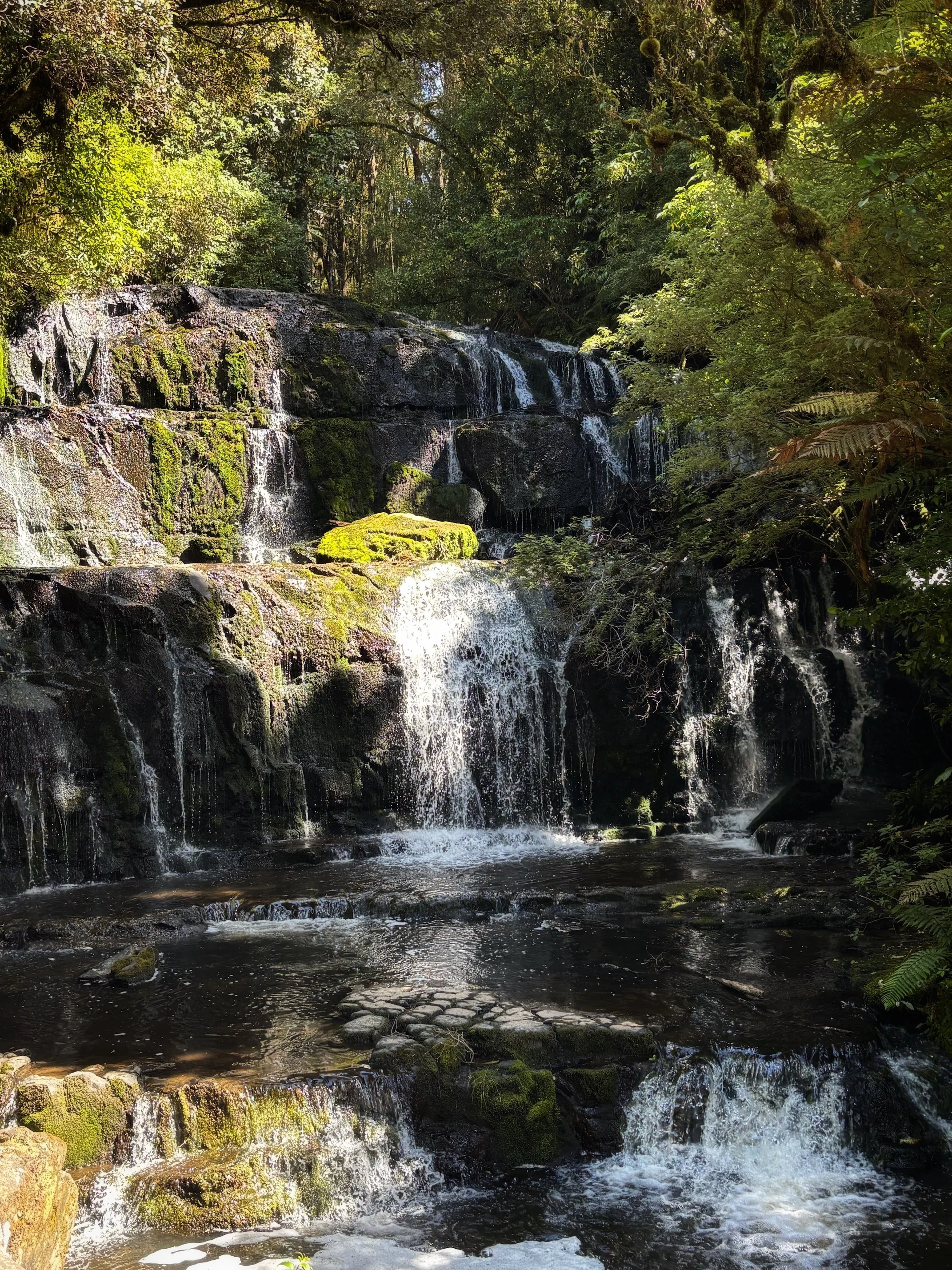 Purakaunui Falls Eteläsaari Uusi Seelanti