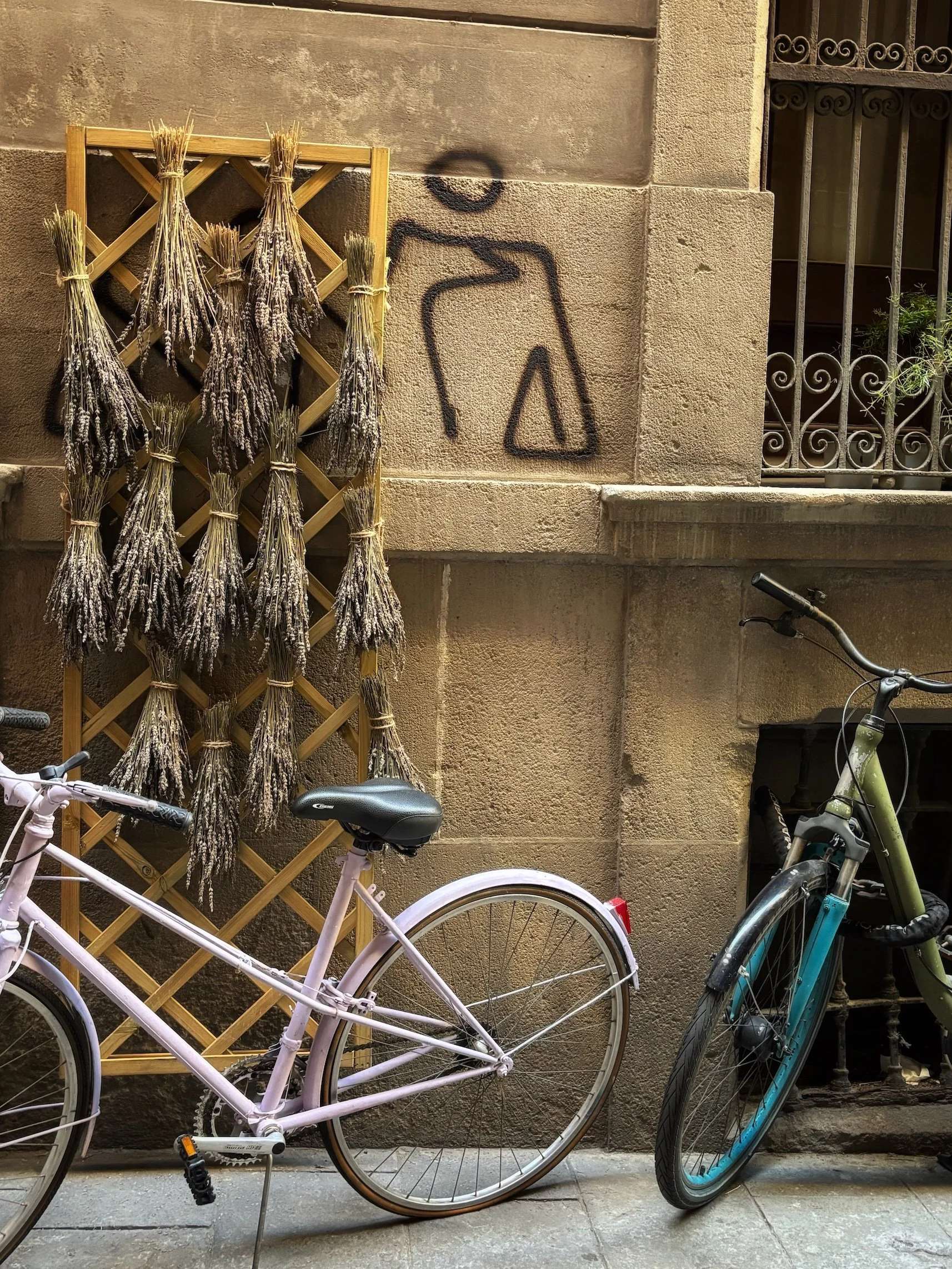 Gothic Quarter, Barcelona, Spain