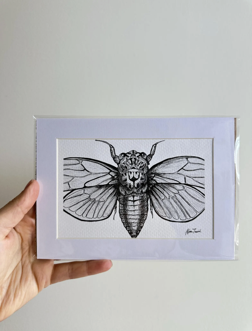 Stippled Cicada Art Print: Archival Quality, 5x7" Matted
