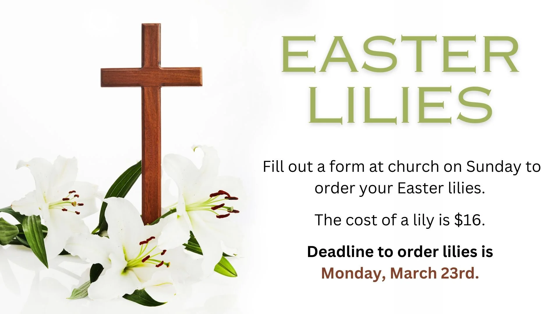 Easter Lilies 2026.jpg