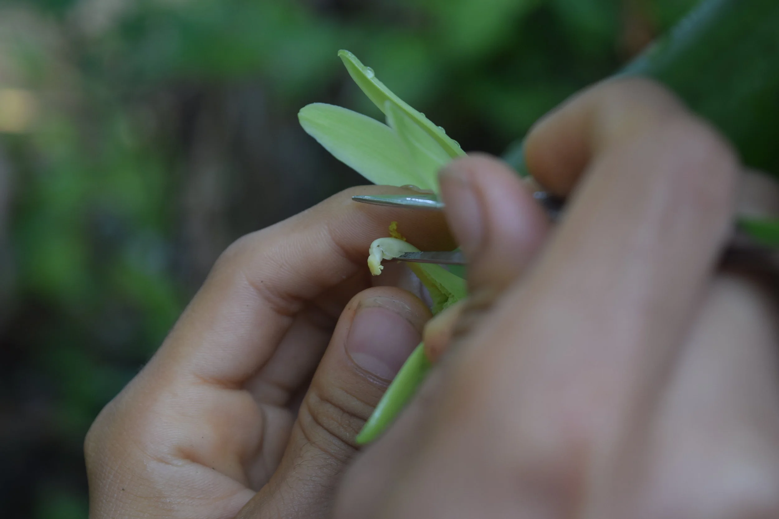 DSC_0052.JPG