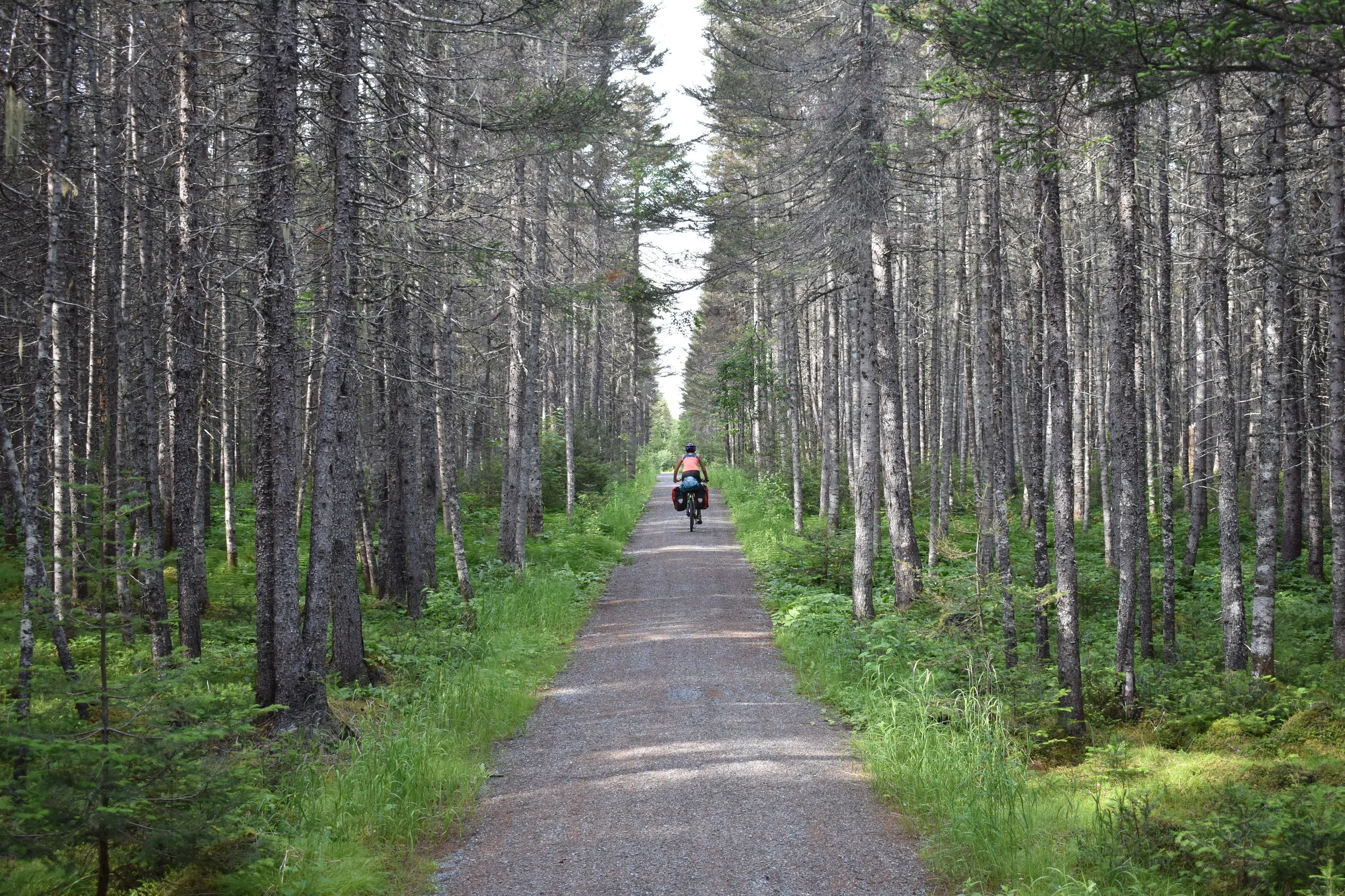 Permaculture Observations: Cycling through Eastern Canada
