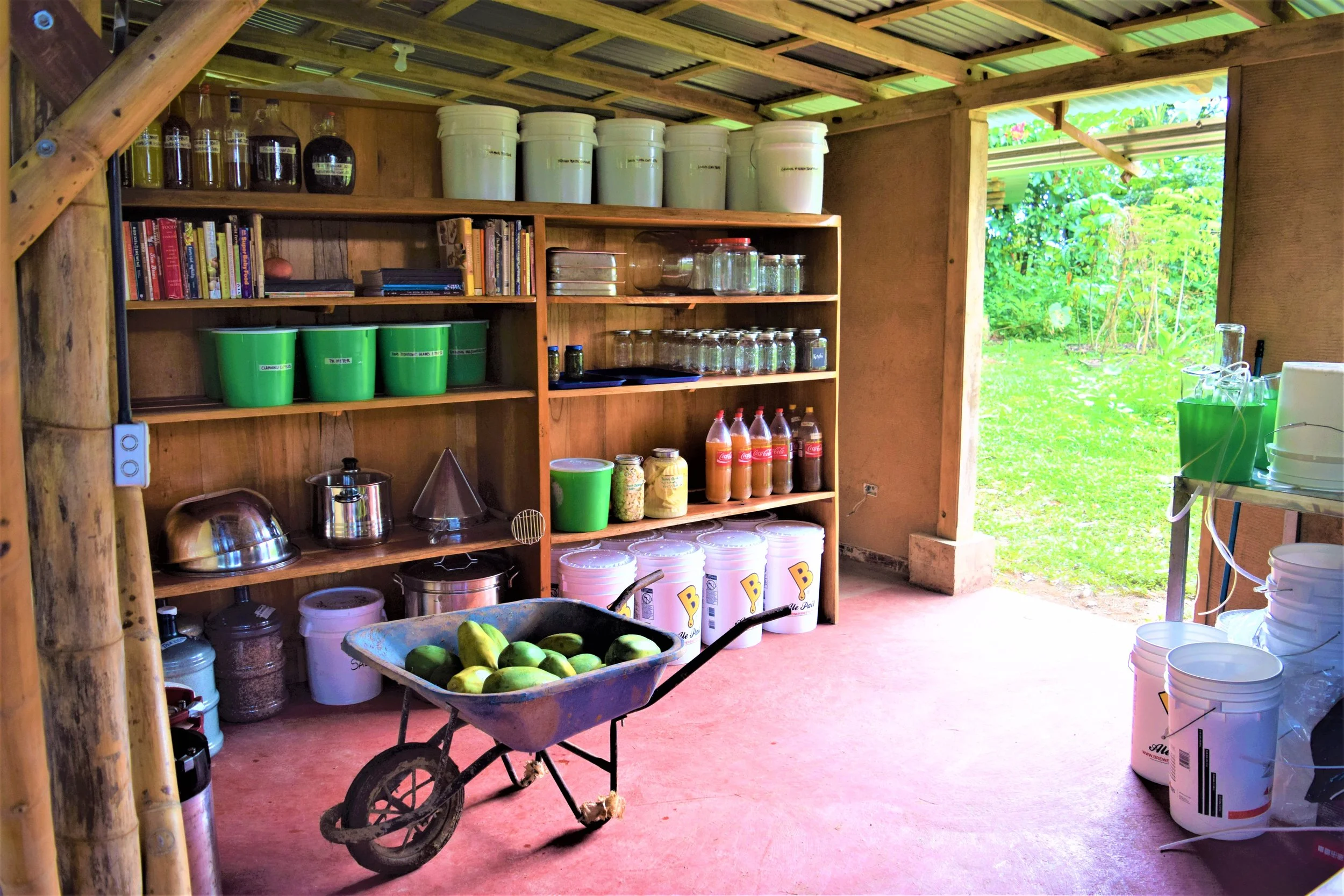 The Basic Pantry Analysis